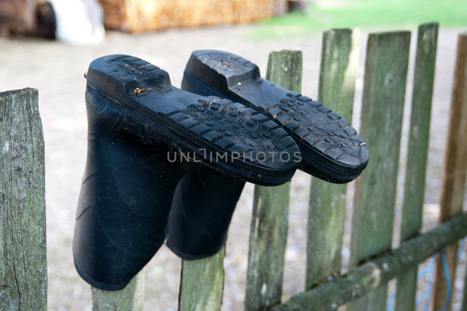 old rubber boots drying on a wooden fence