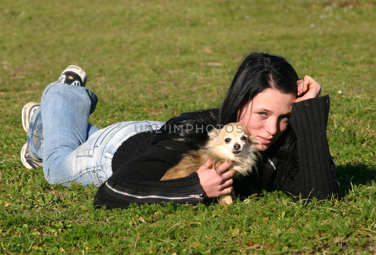 portrait of a cute purebred chihuahua witn a teenager
