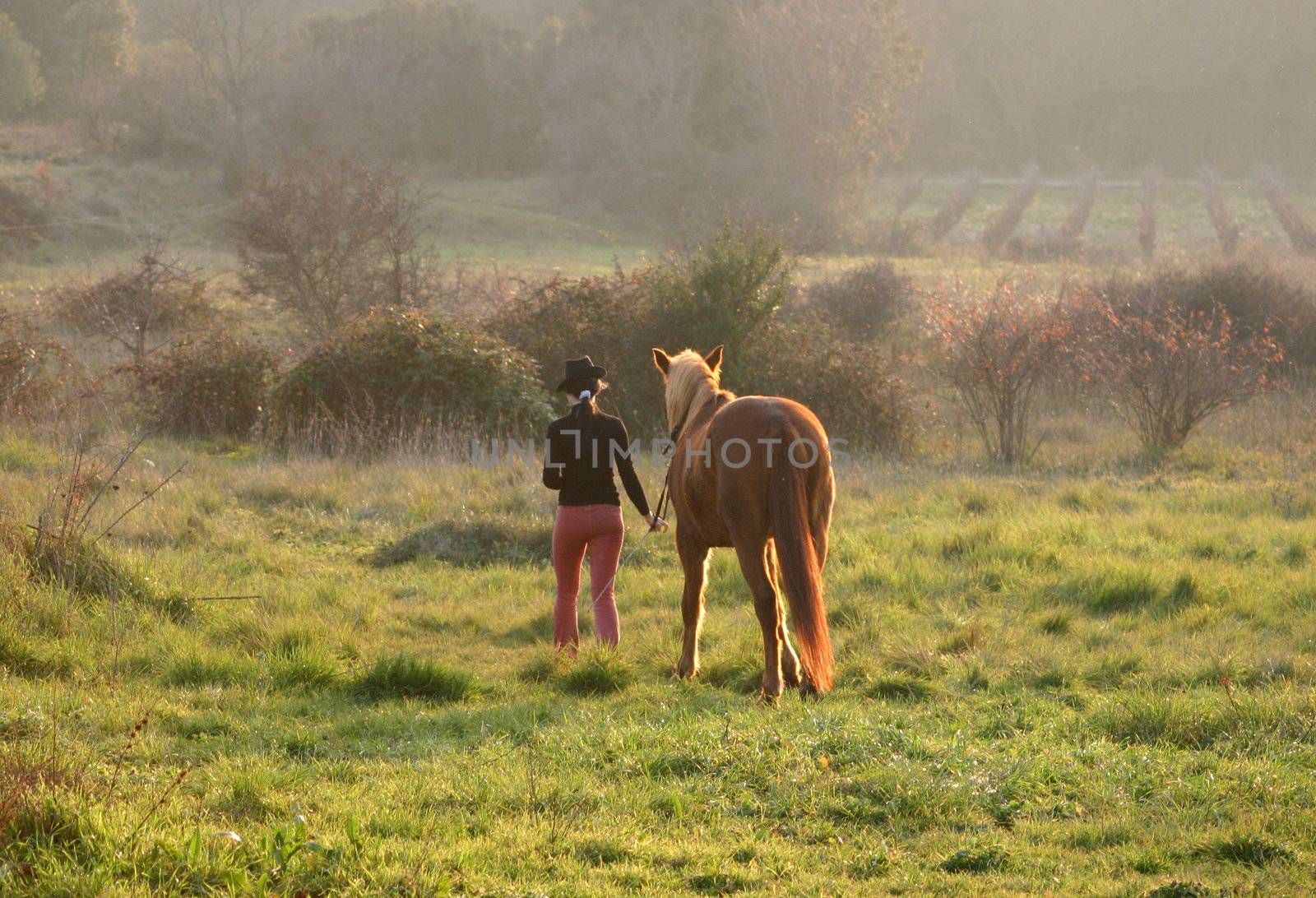 girl and horse by cynoclub