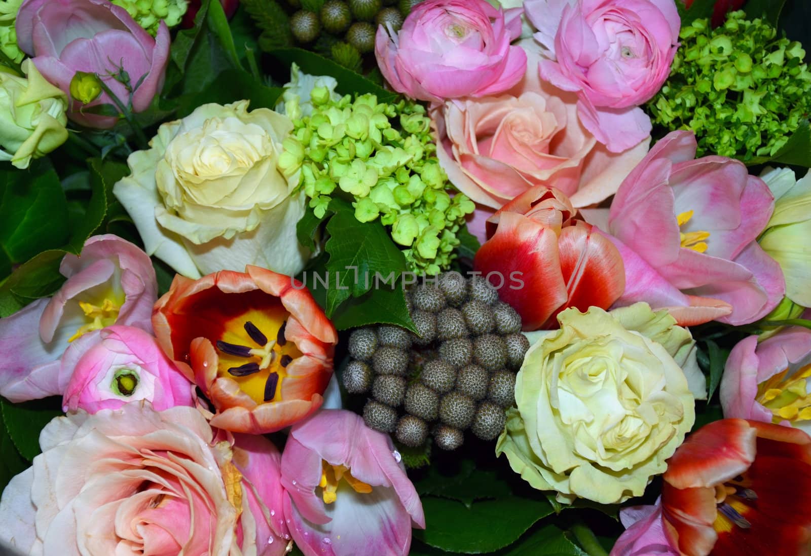 Colorful spring garden bouquet