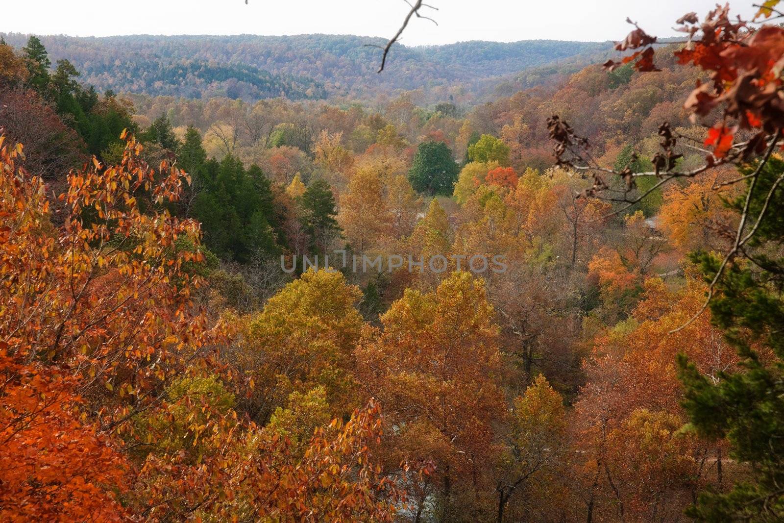 ozarks forest in fall by clearviewstock