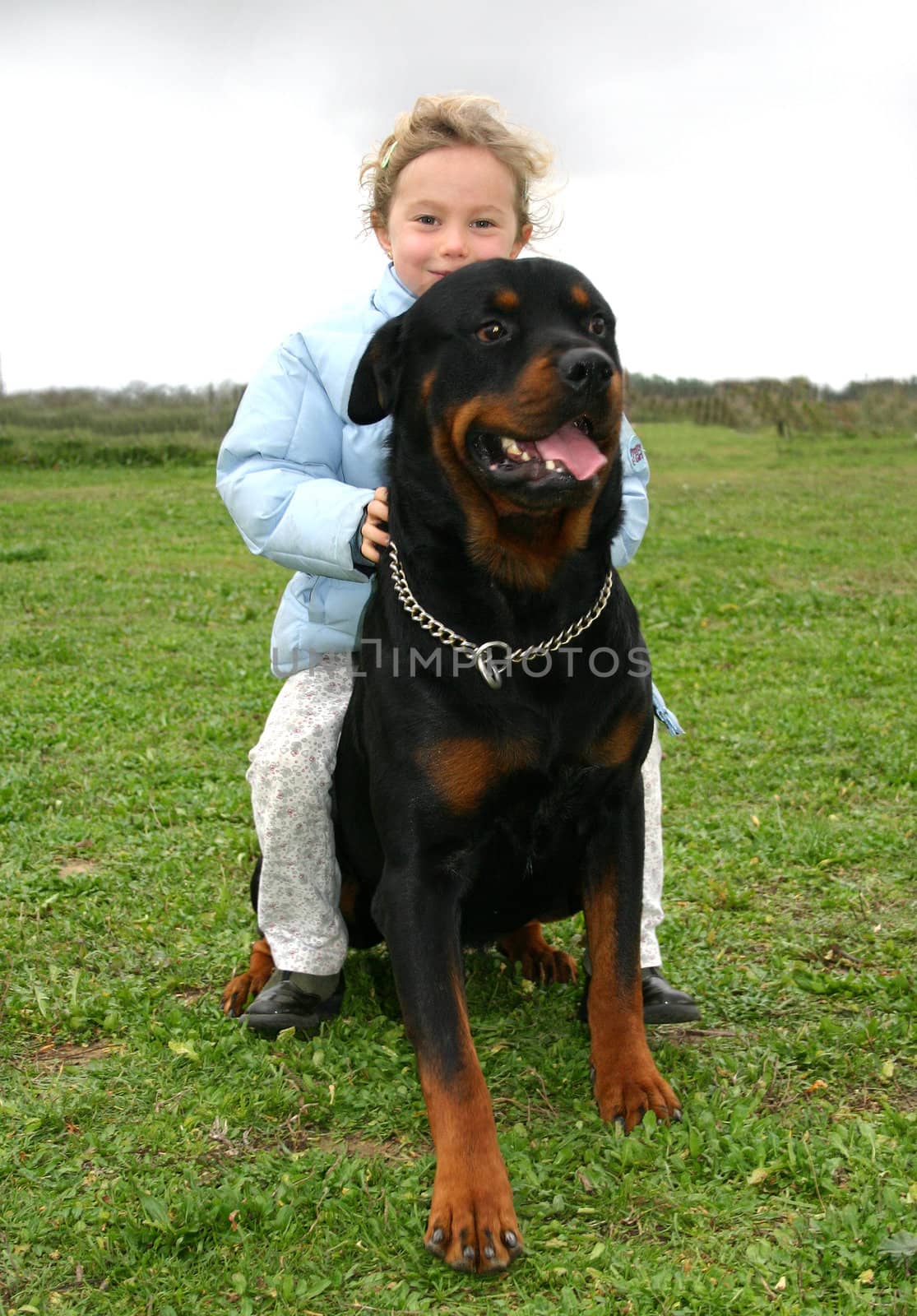 rottweiler and little girl by cynoclub