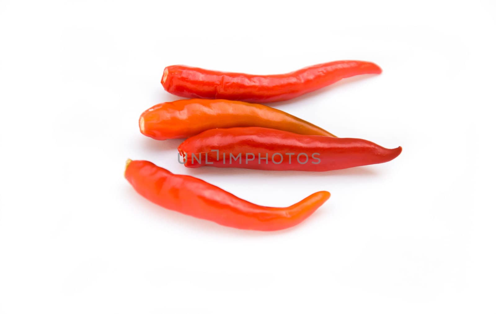 Red  chili on white background