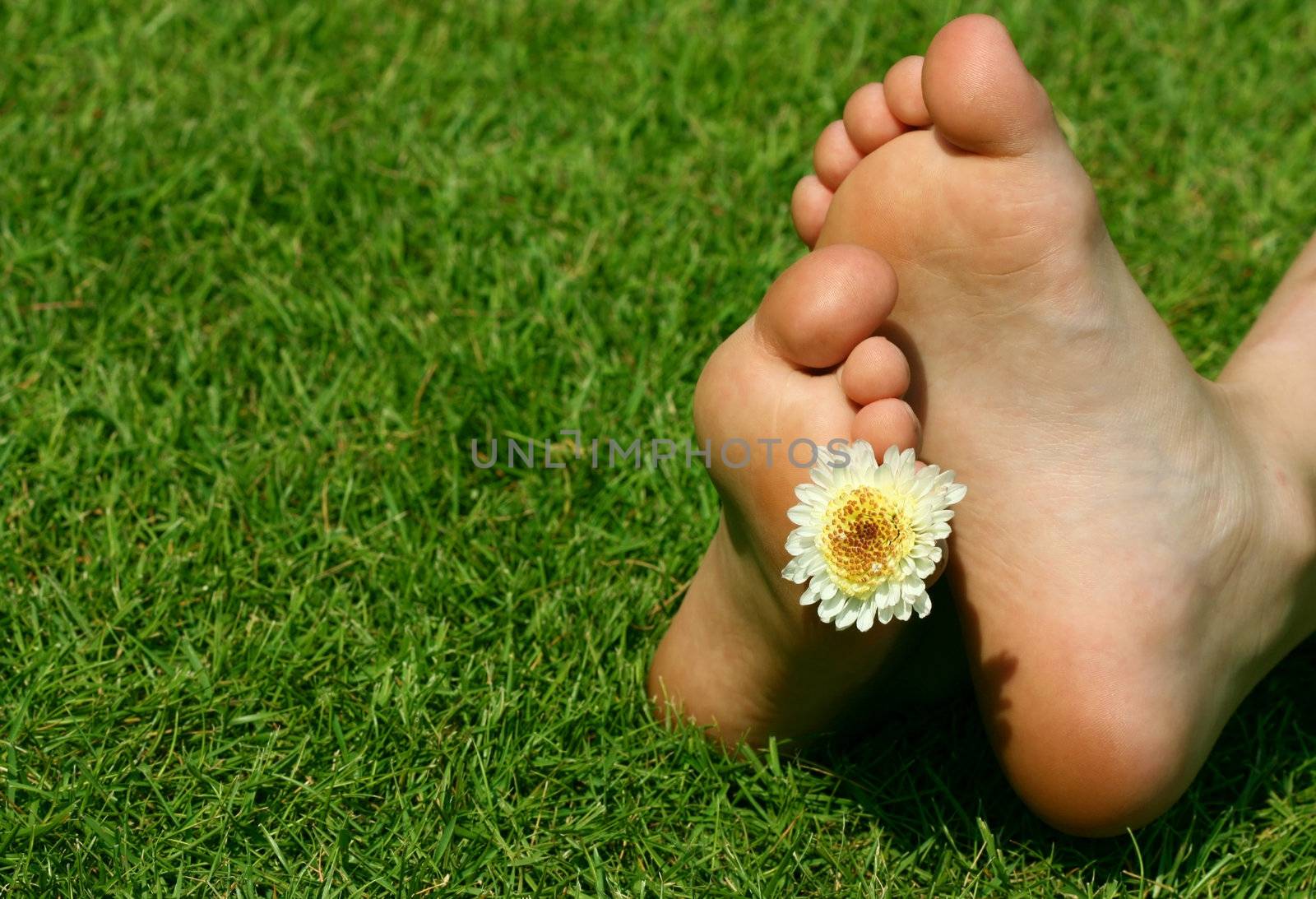 children's legs lying on the grass, flower decoration