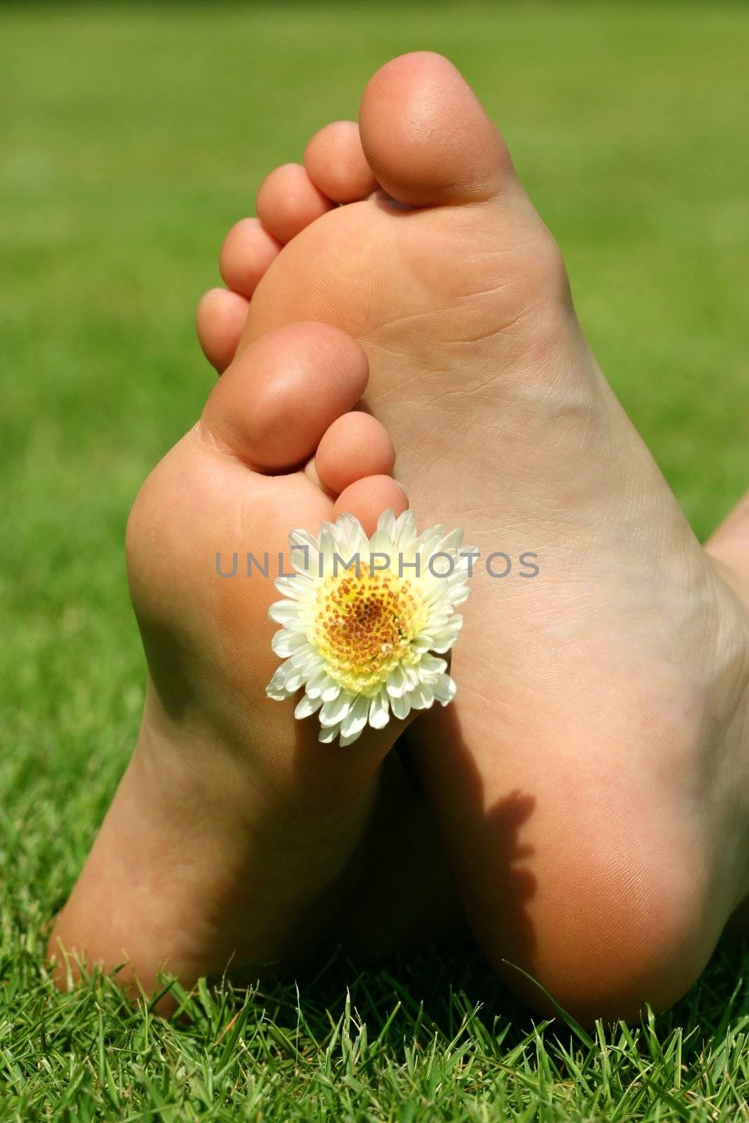 children's legs lying on the grass, flower decoration