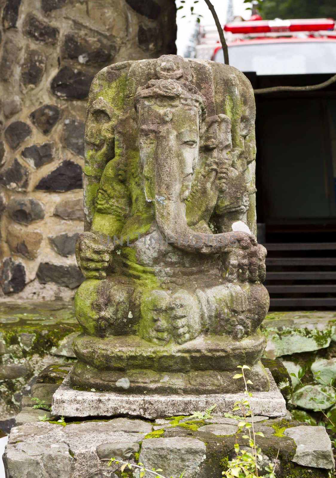 Stone elephant carving in the garden