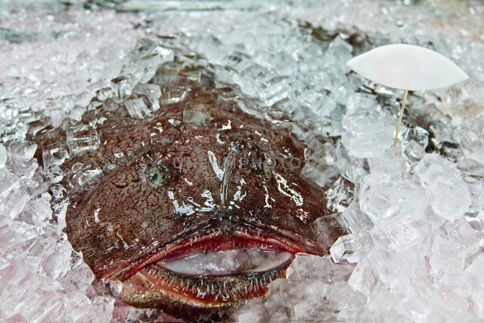 Fresh angler (Lophius piscatorius) on ice in a supermarket