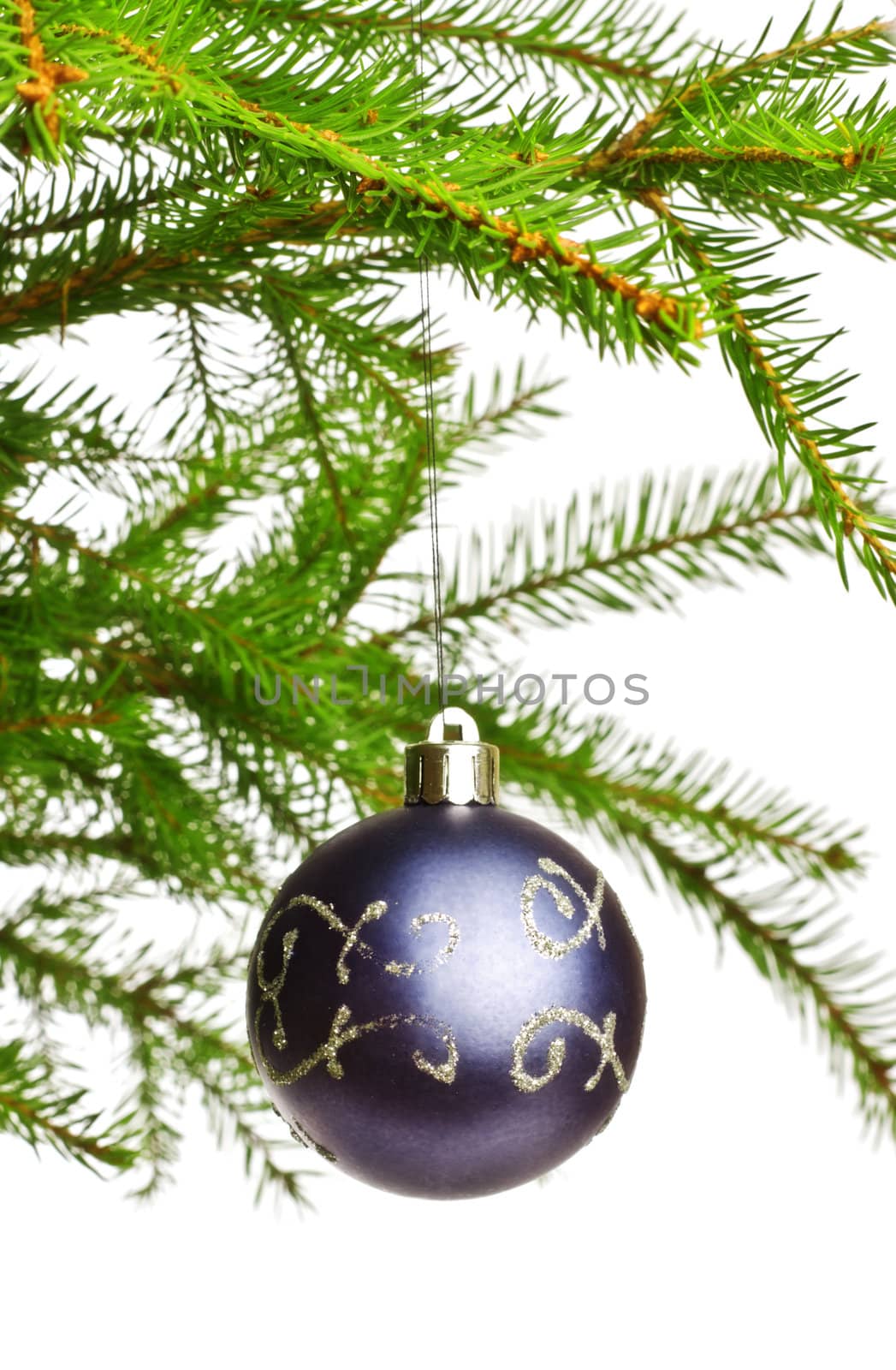 decoration ball on fir branch, white background