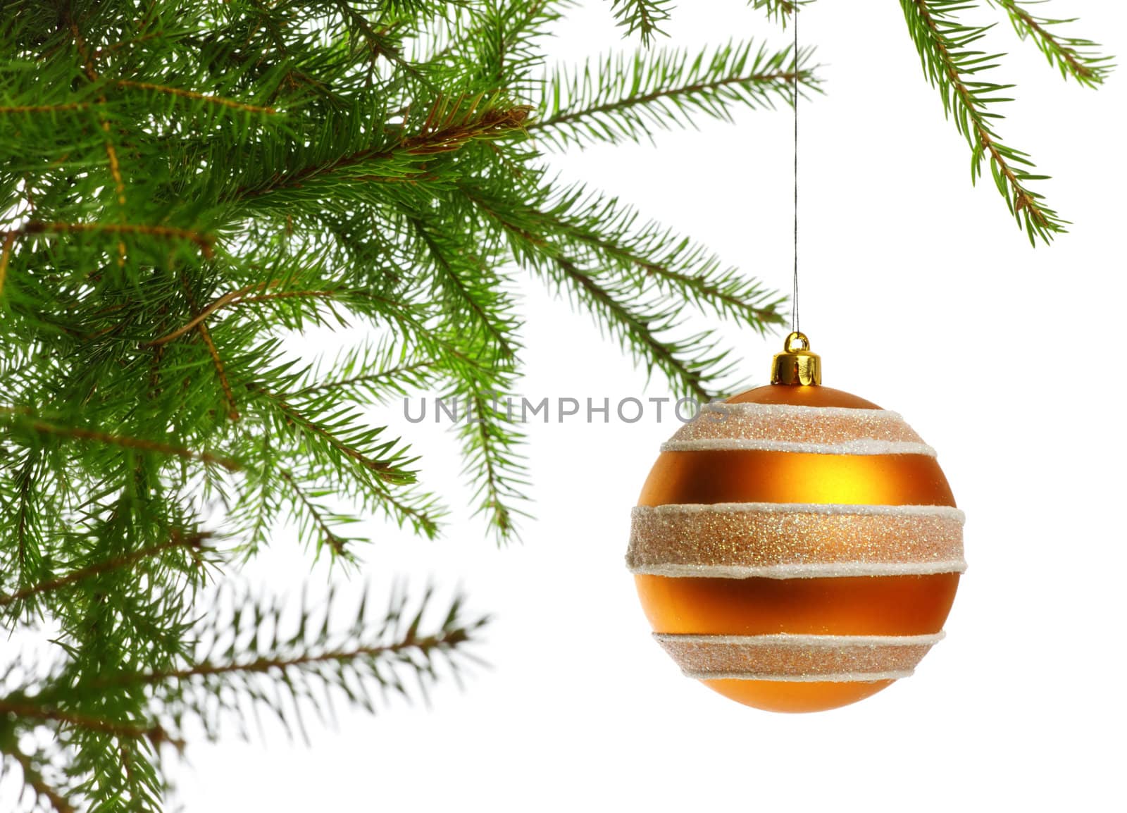 decoration ball on fir branch, white background