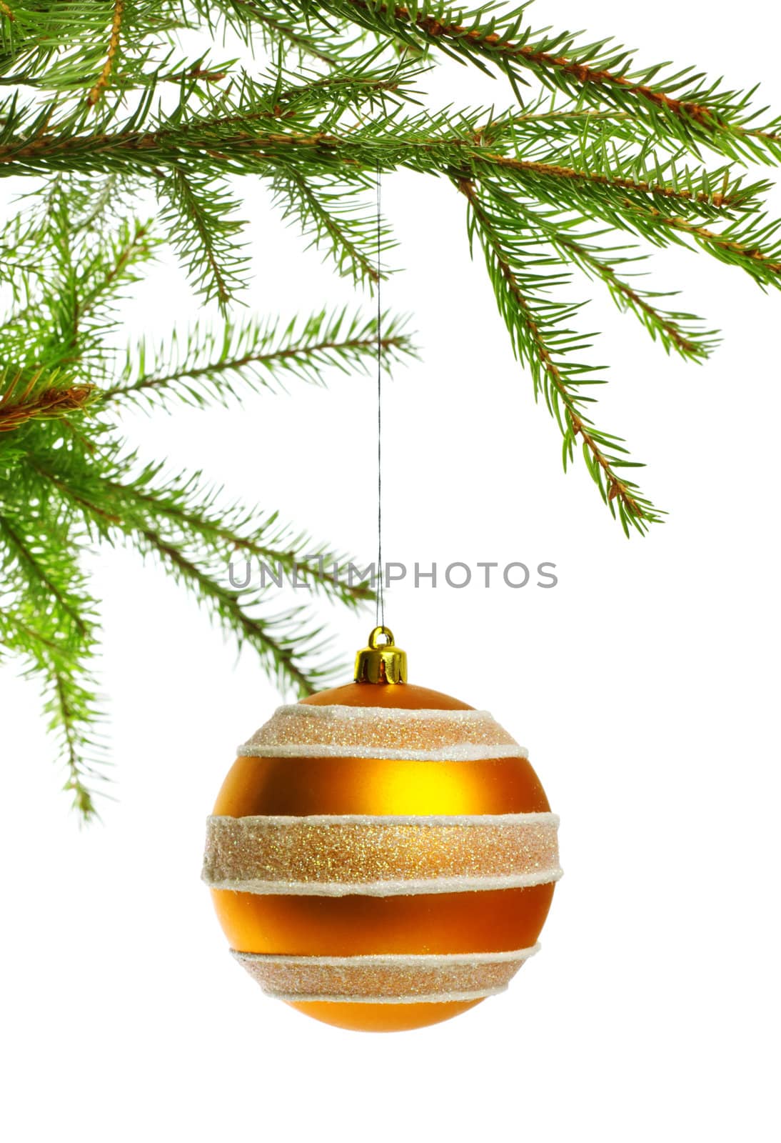 yellow decoration ball on fir branch