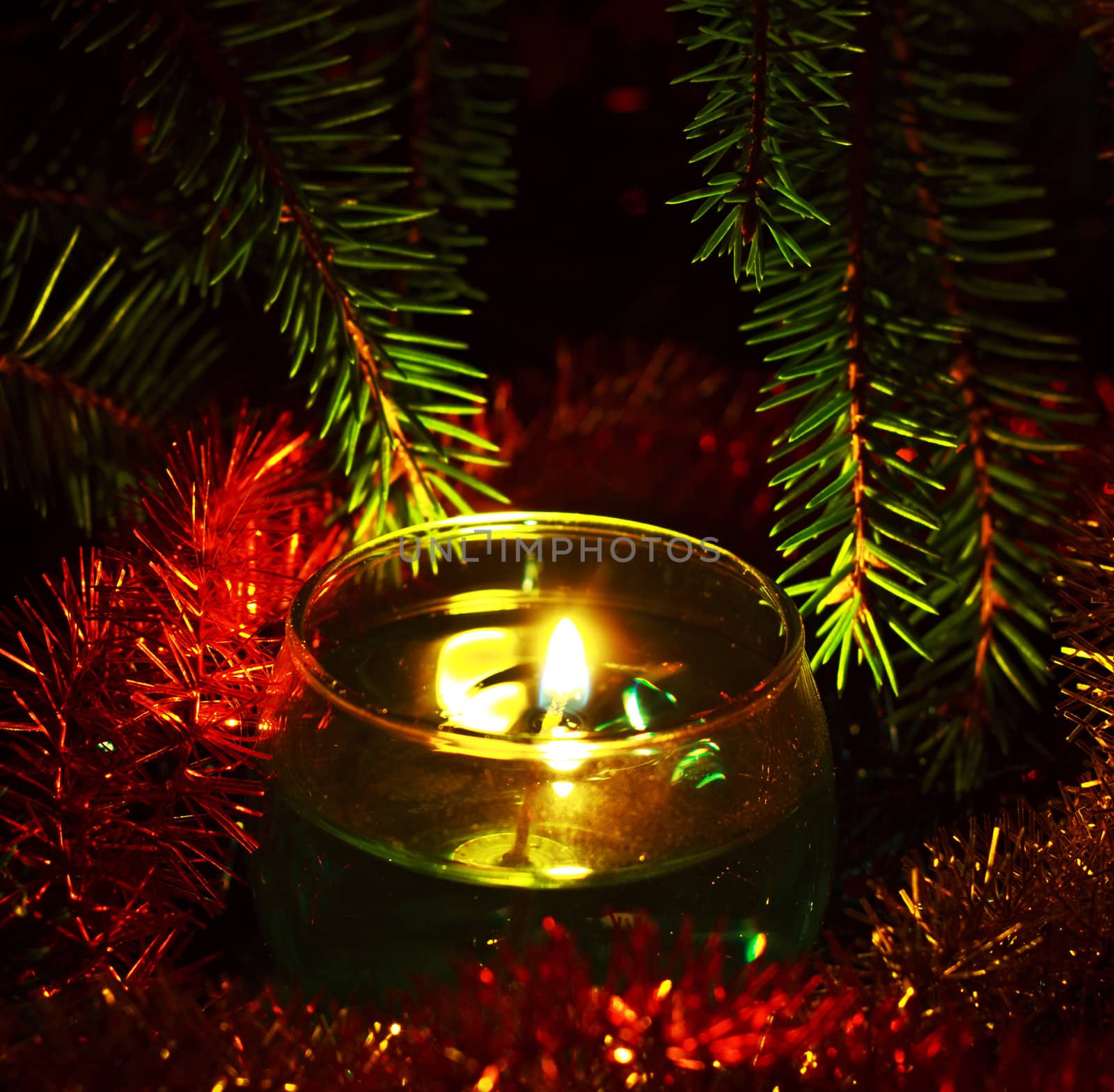 christmas card with candles and fir branches