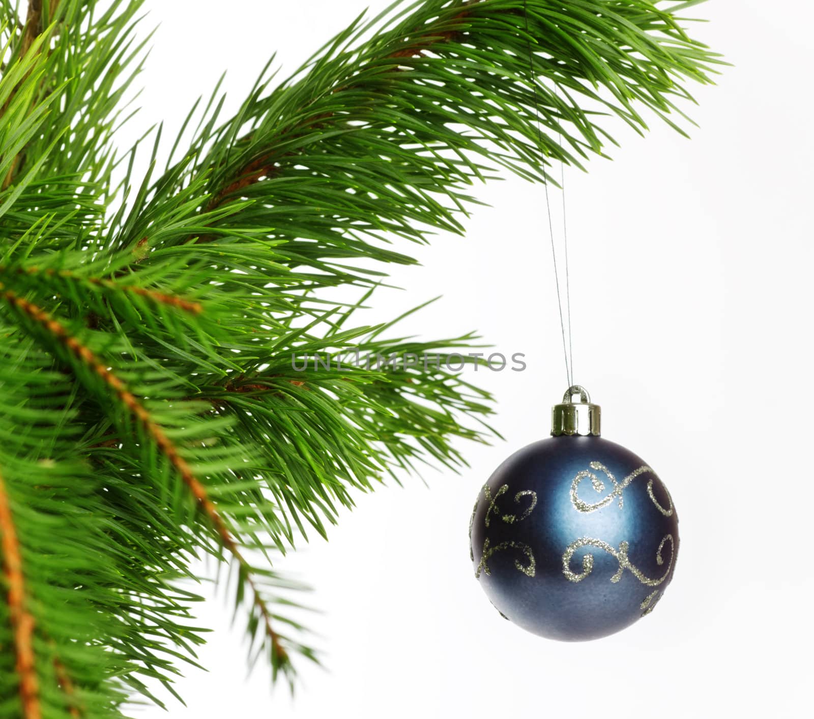 blue decoration ball on fir branch, isolated on white