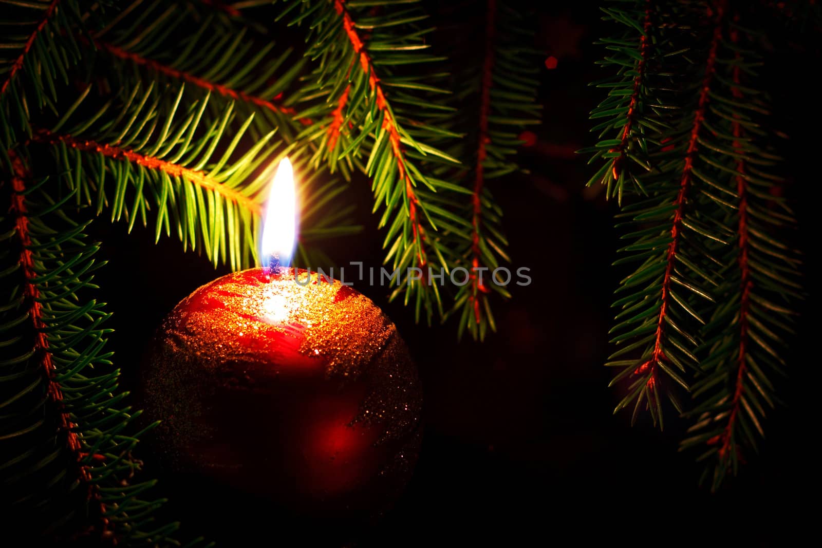 candle and fir branches by petr_malyshev