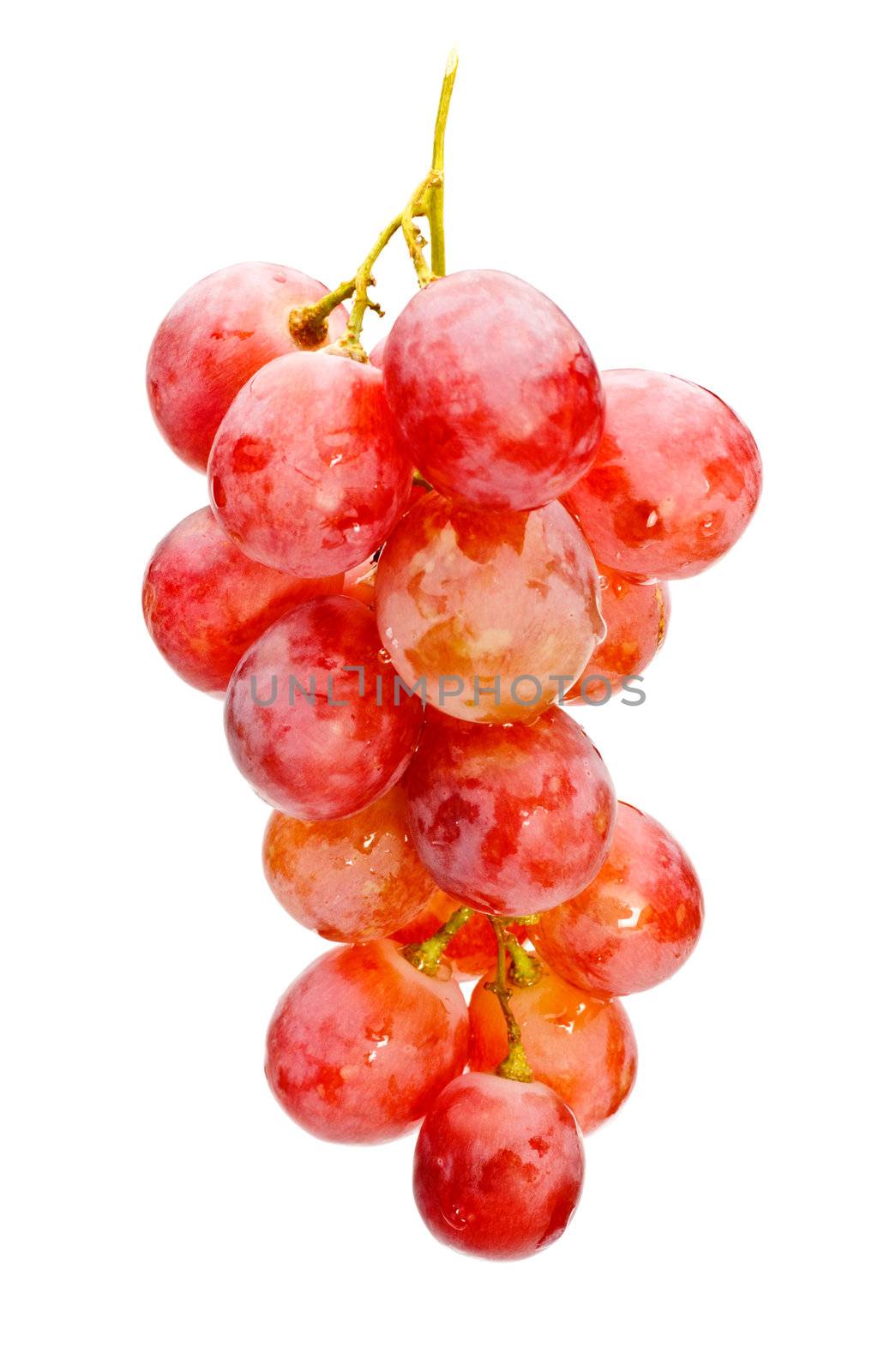 bunch of red grape isolated on white