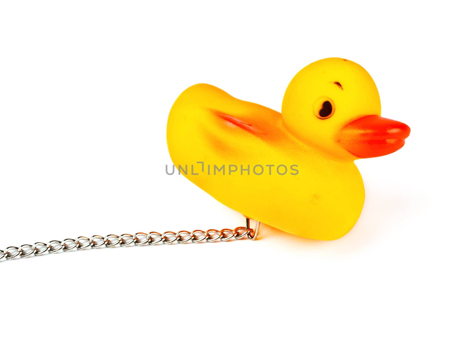 toy duck for bath by petr_malyshev