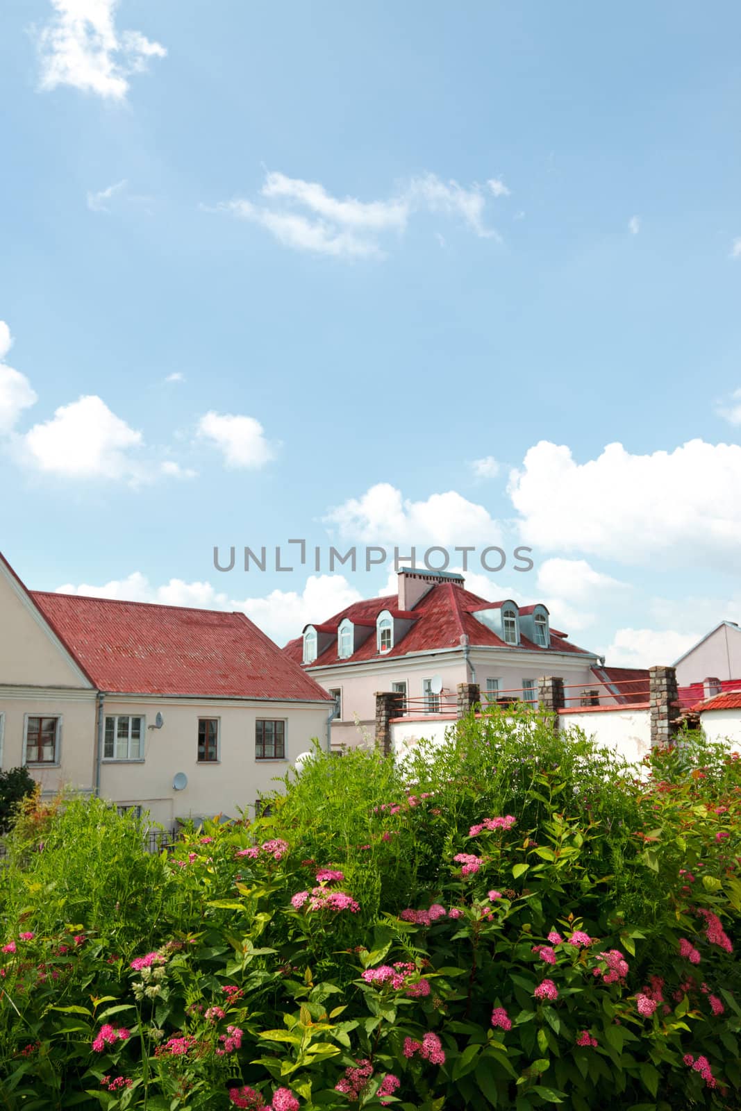 landscape with red roofs, flowers and blue sky