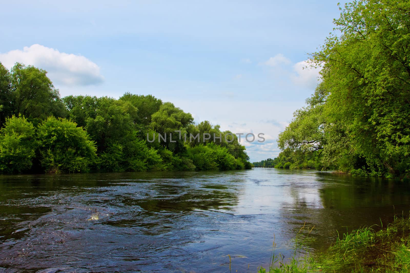 wide rough river in forest at summer day