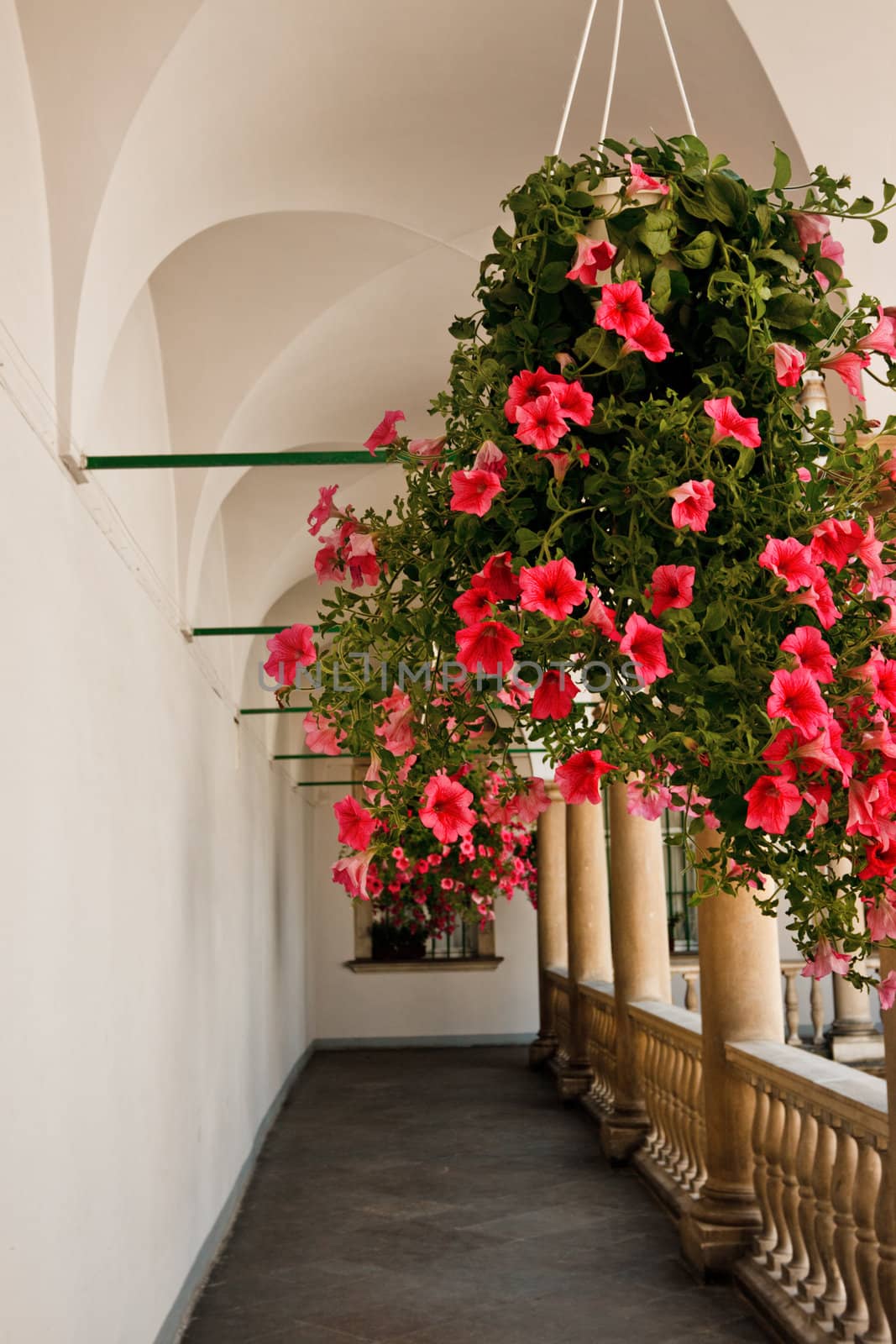 hanging pot with flowers in vintage gallery