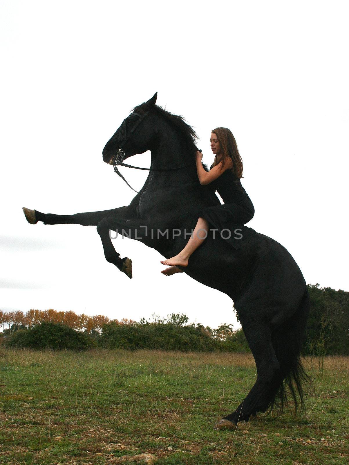 young woman and her beautiful black stallion rearing up