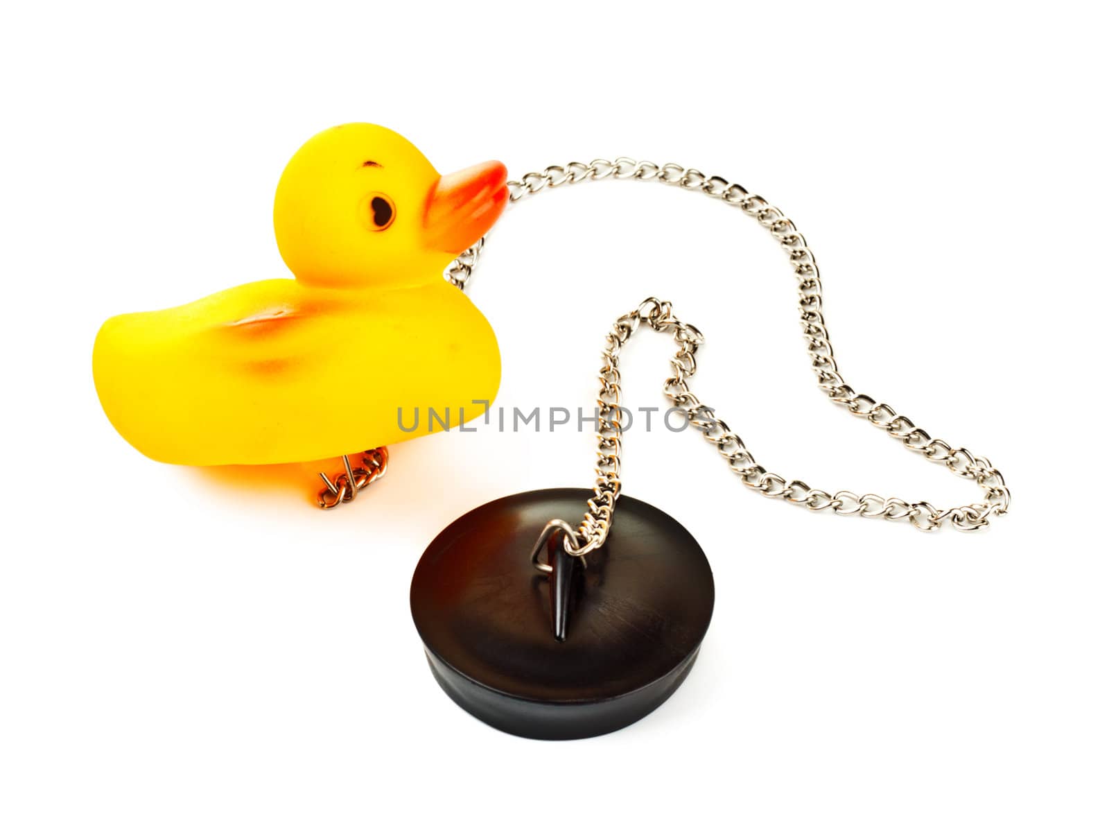 toy duck with plug for bath with chain isolated on white