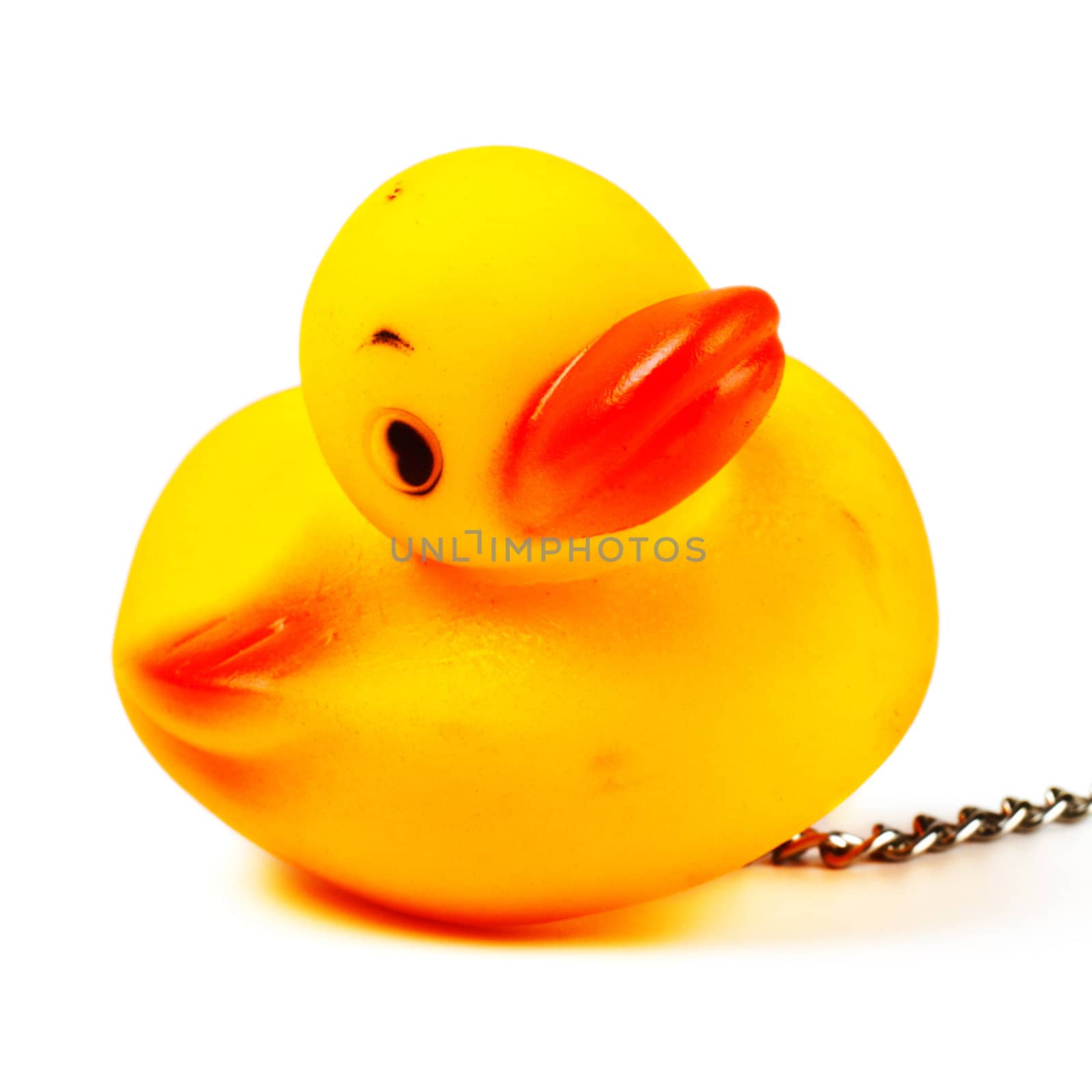 toy duck for bath by petr_malyshev
