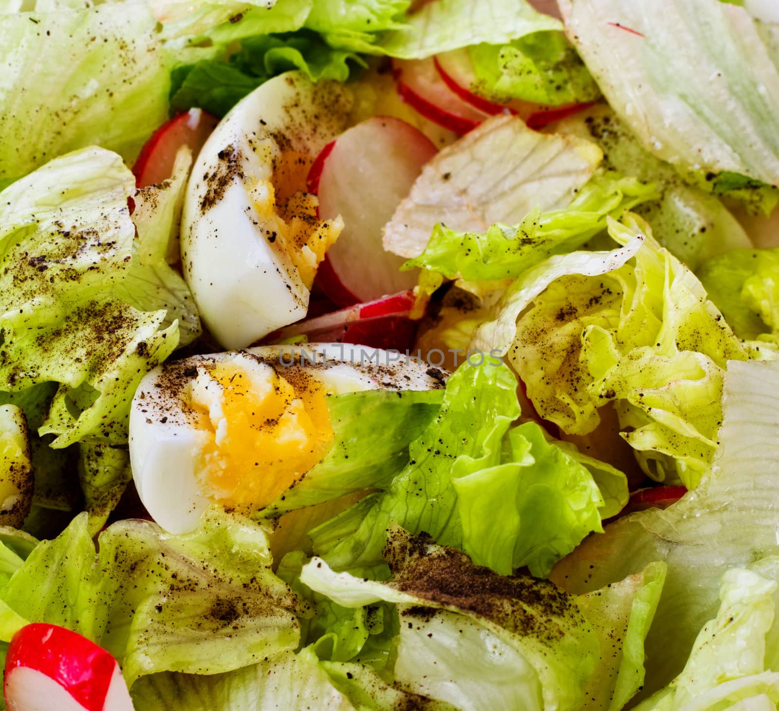 fresh green salad with radish and eggs