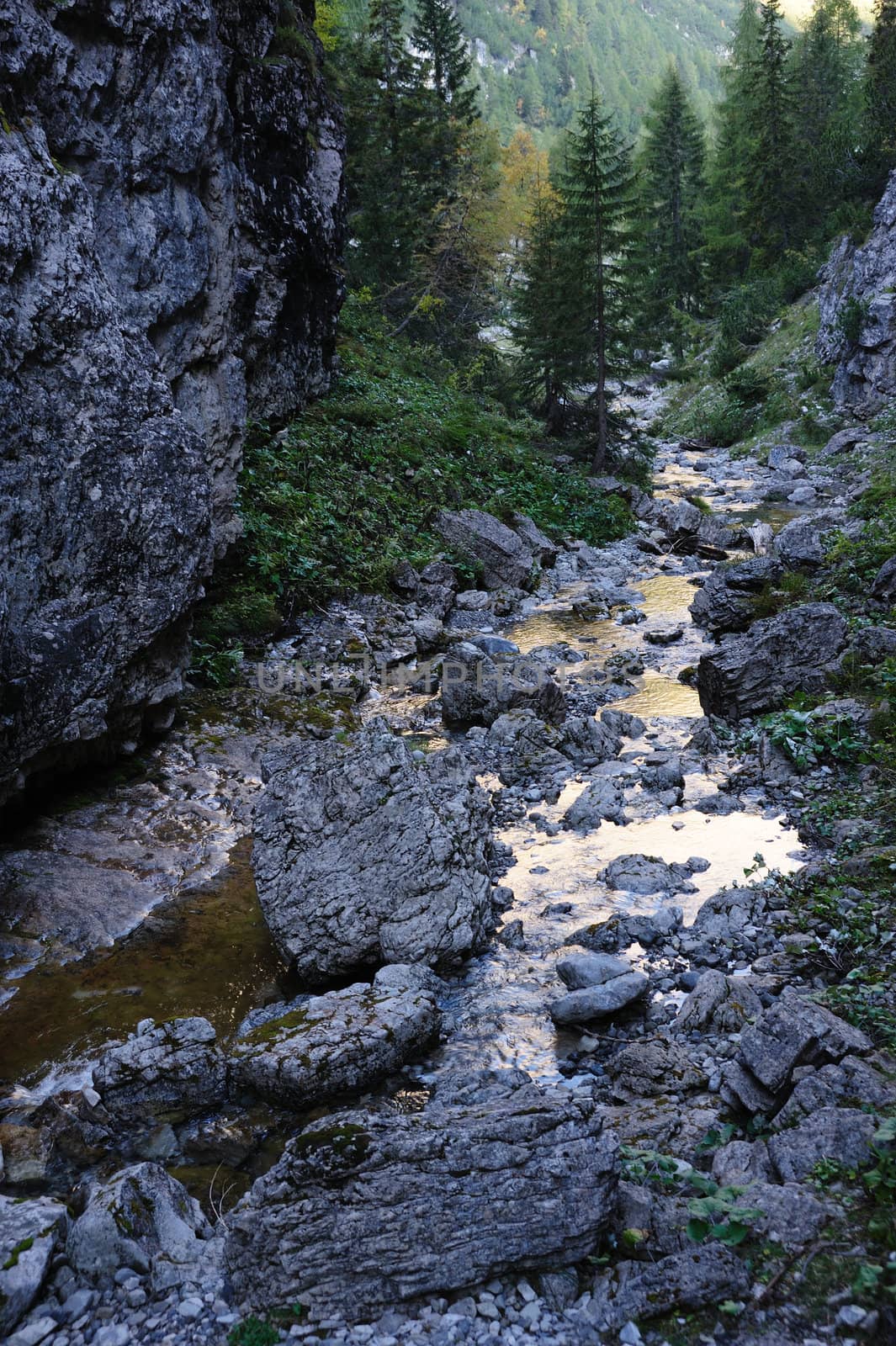 An image of a stream in the mountains