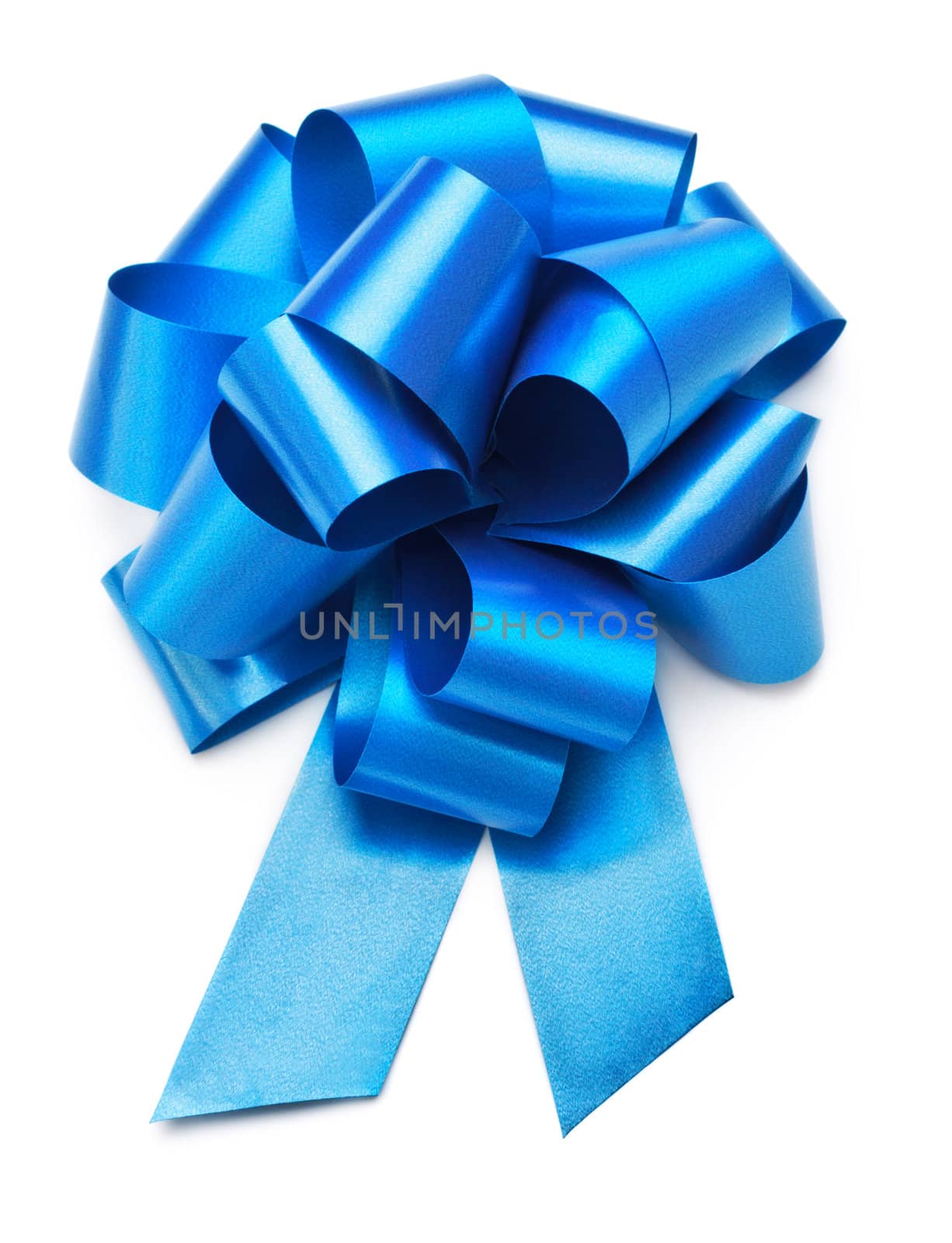 single blue bow isolated on white background