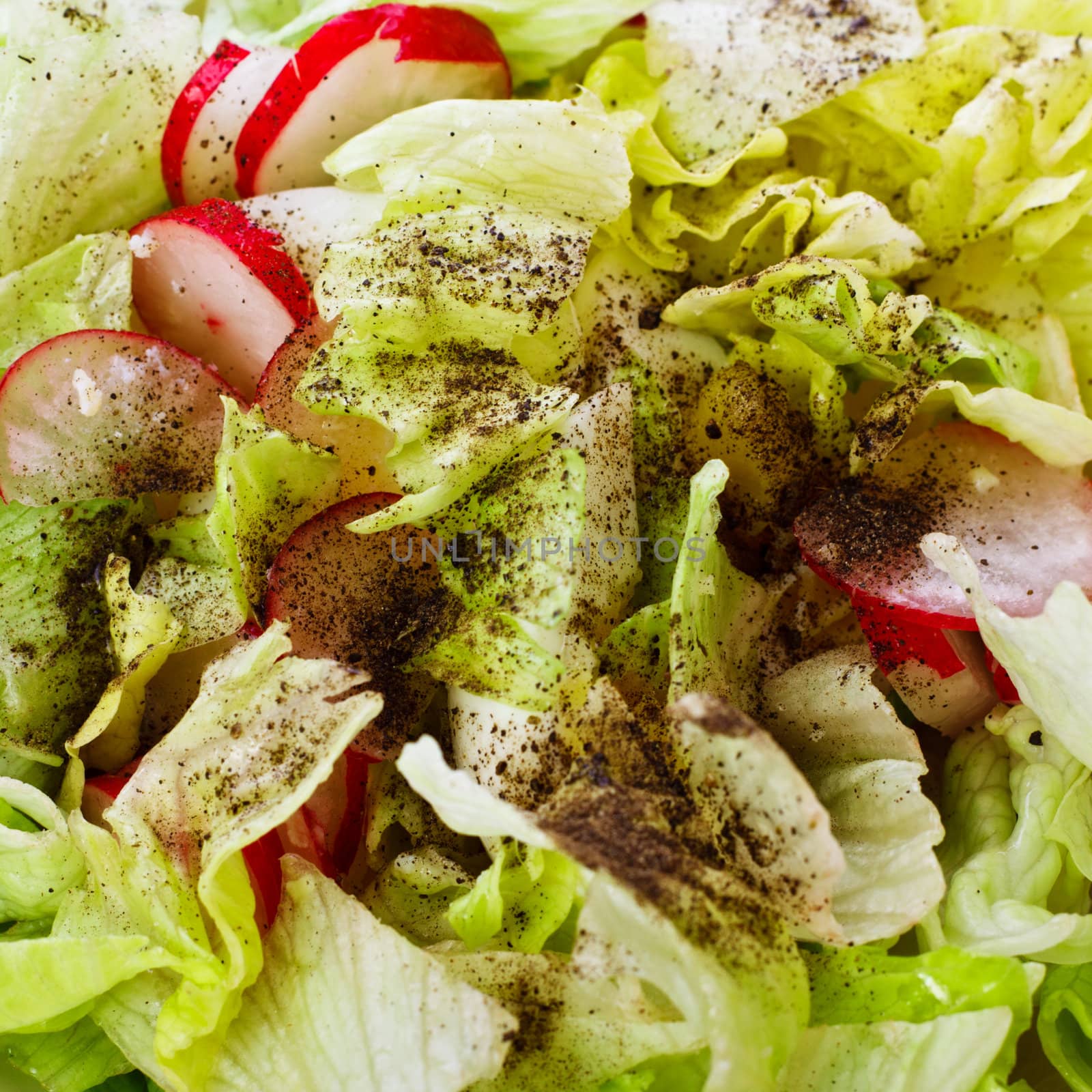 fresh green salad with radish and eggs