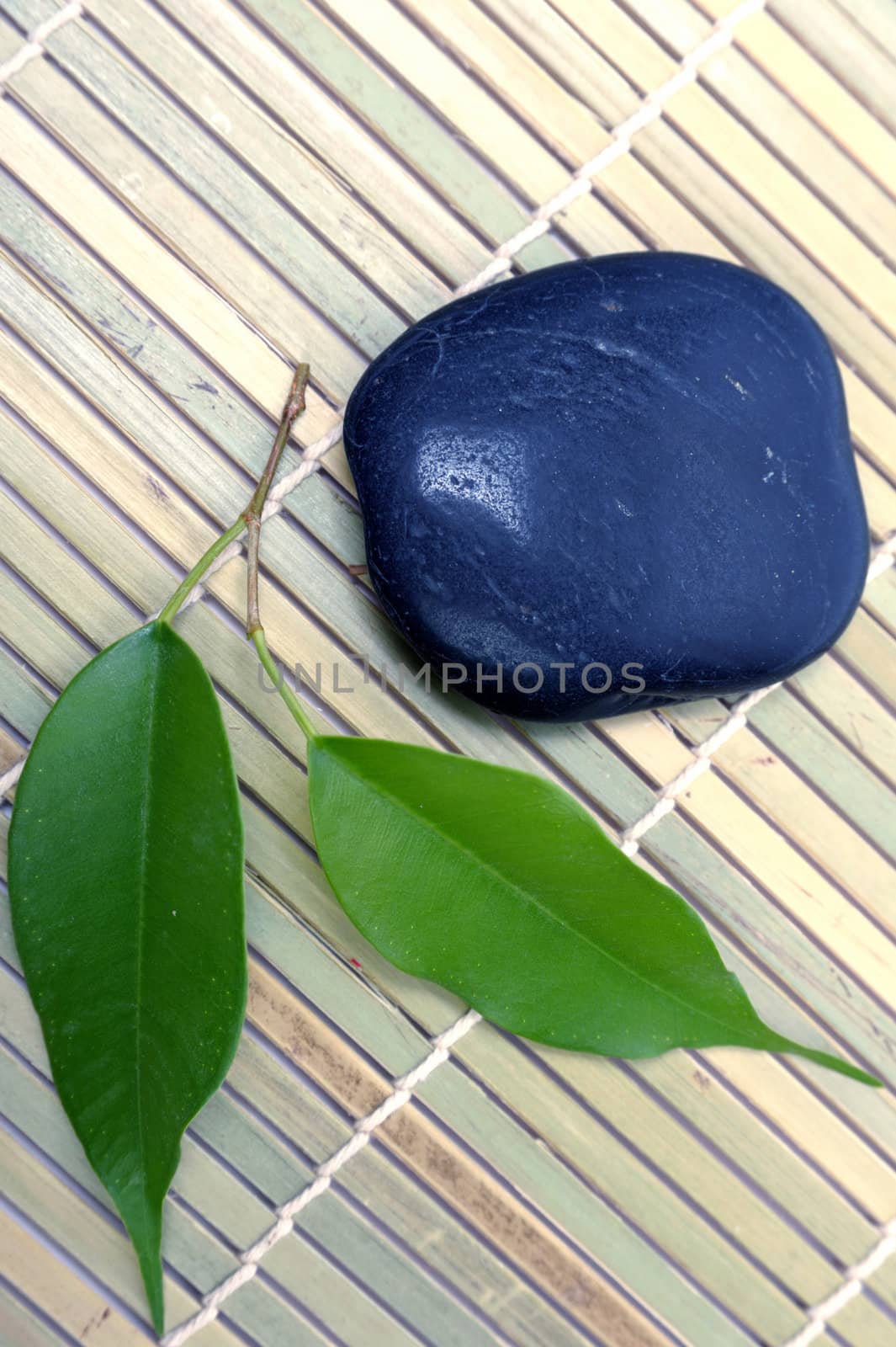 An image of a black stone for spa and green leaves