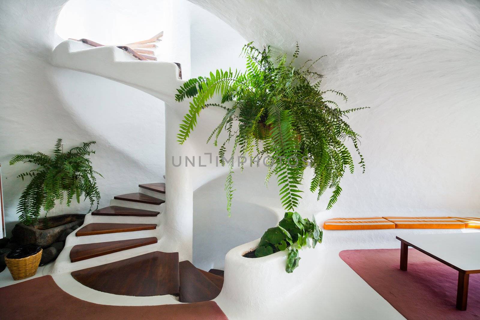 White and wood spiral staircase with flowers in modern interior