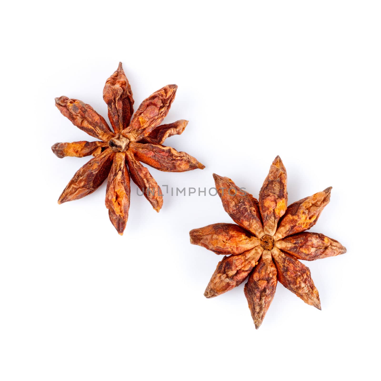 two star anise isolated on white background