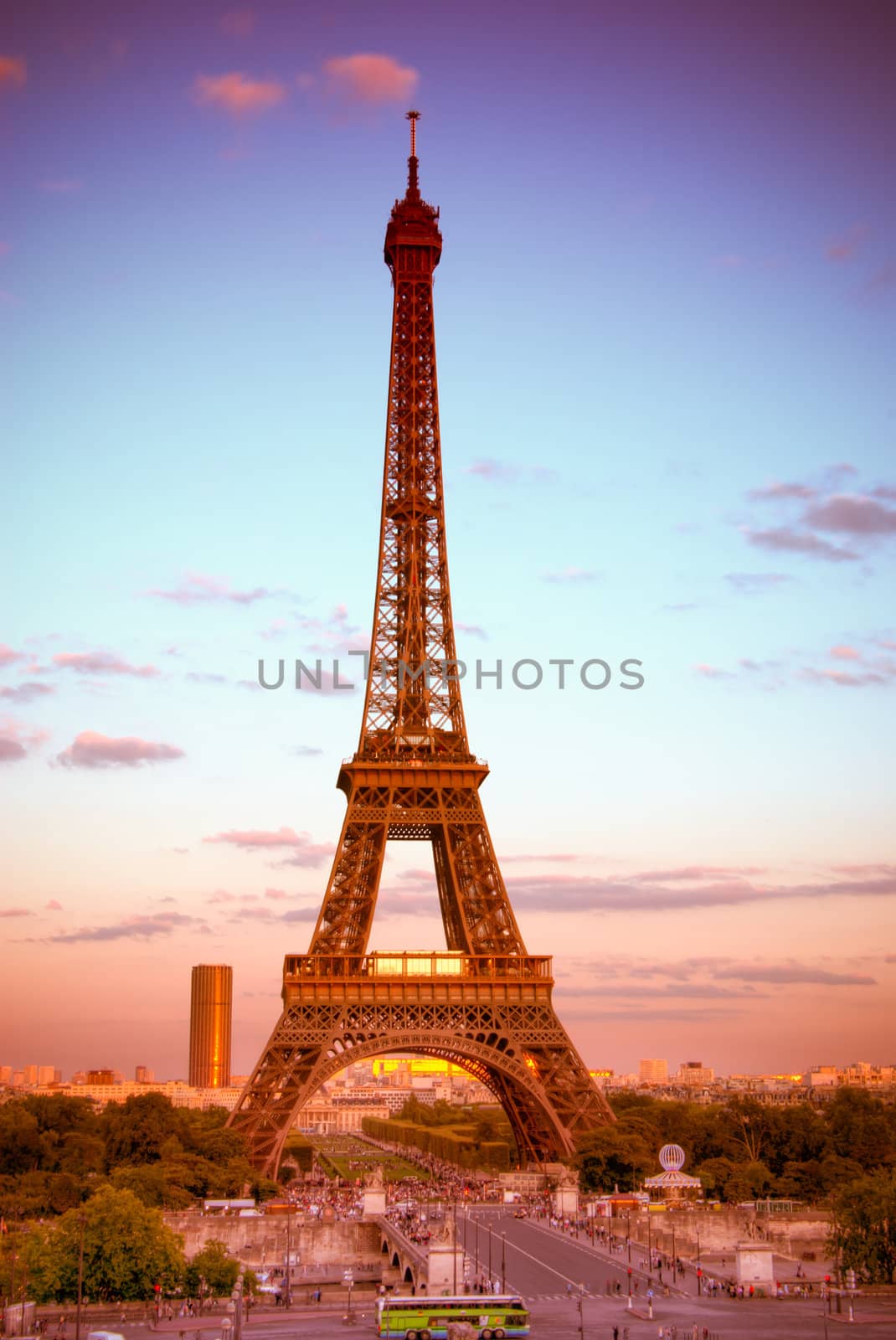 vertical view of the Eiffel Tower in Paris, France