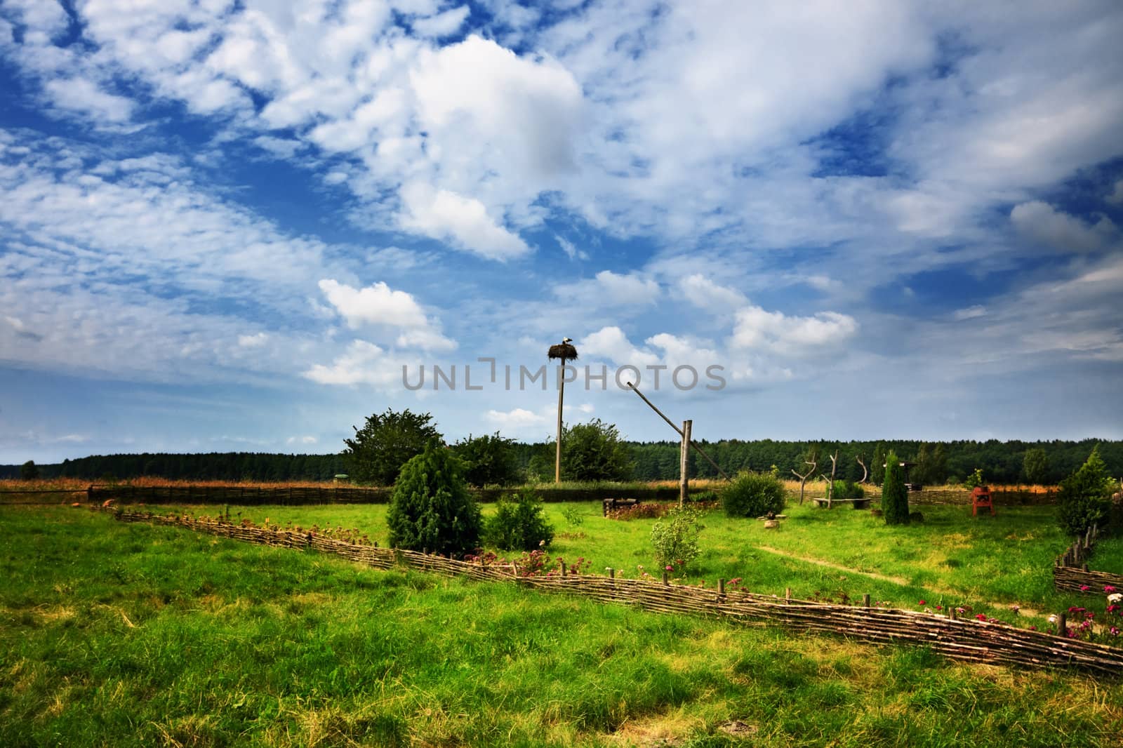 rural landscape with stork nest at summer day