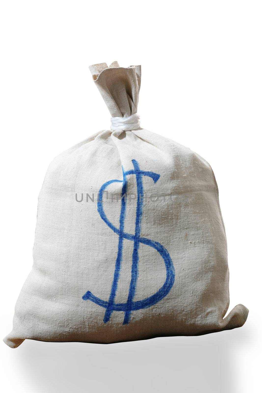 An image of a white bag with sign dollar on it

