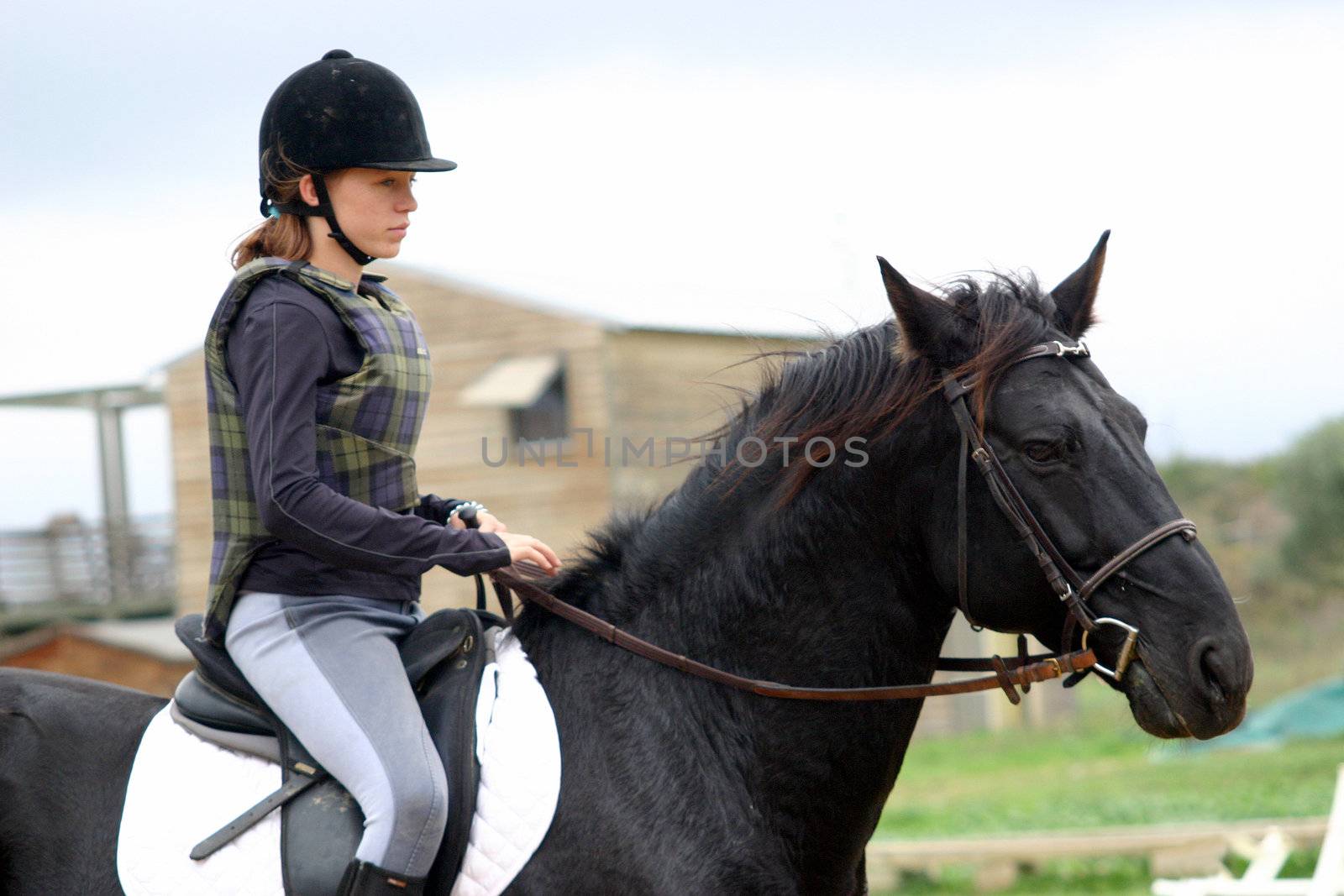 horse and woman in dressage by cynoclub