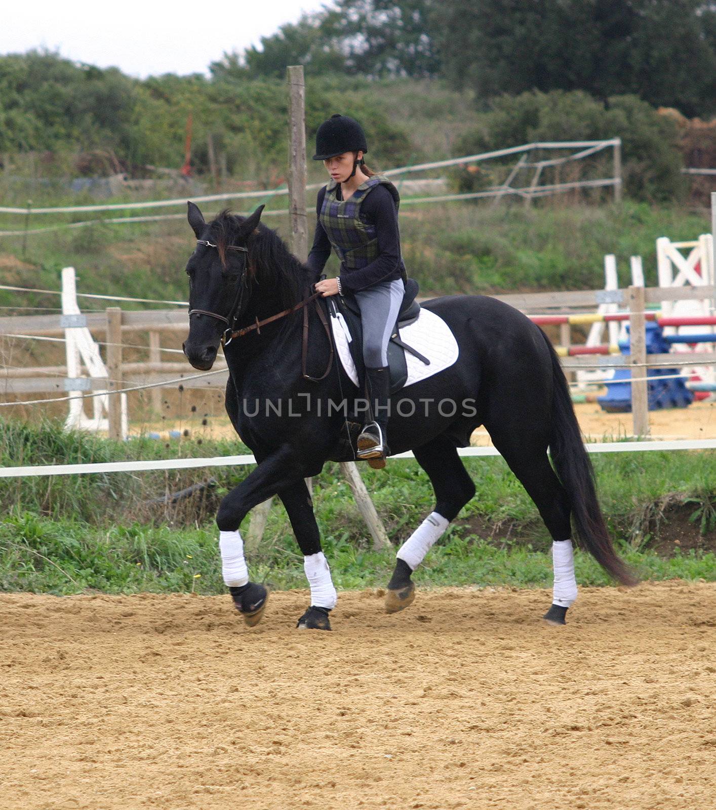 horse and woman in dressage by cynoclub
