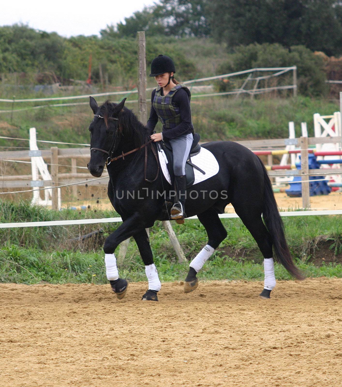 training in dressage for a black horse and her riding girl