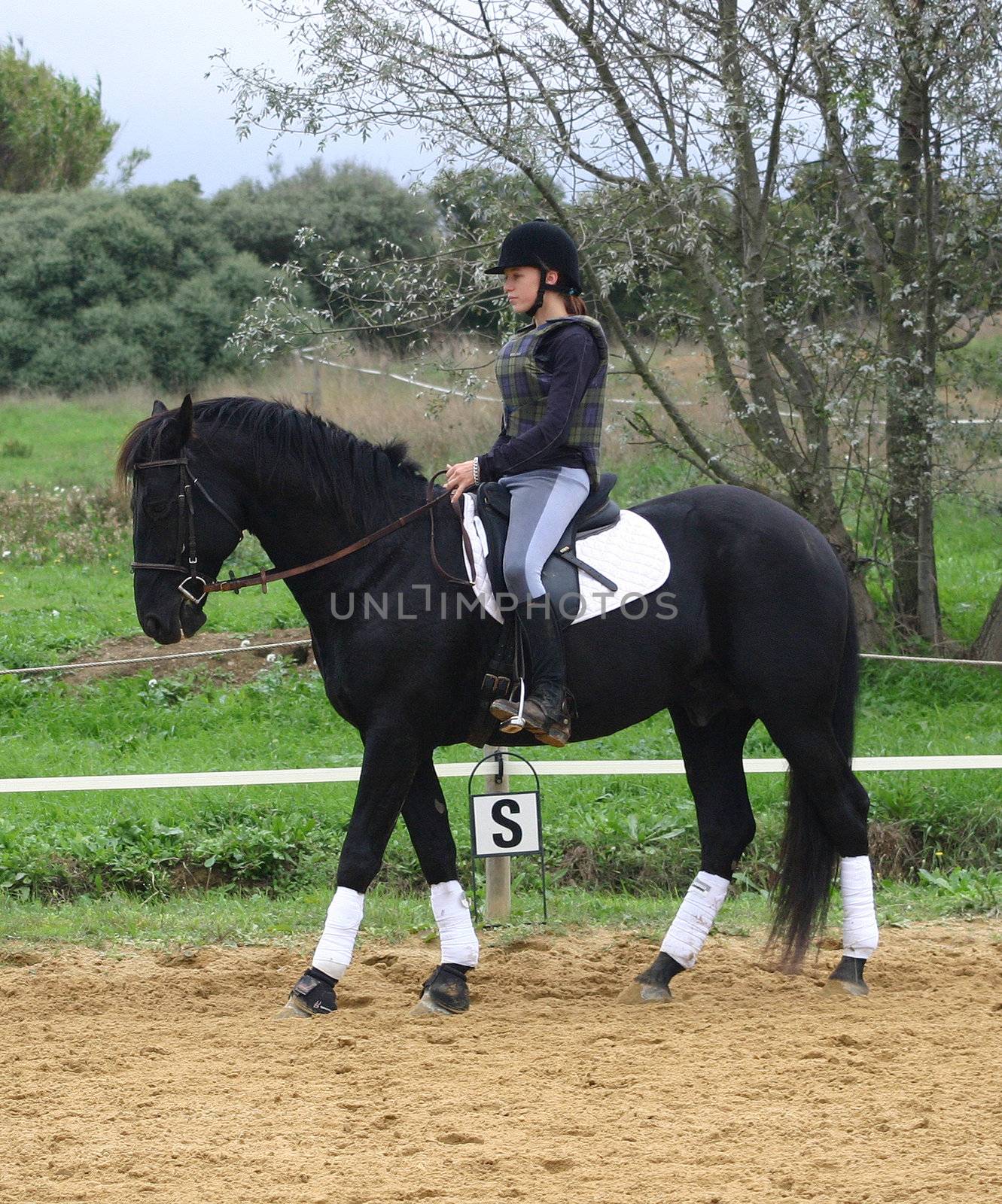 horse and woman in dressage by cynoclub