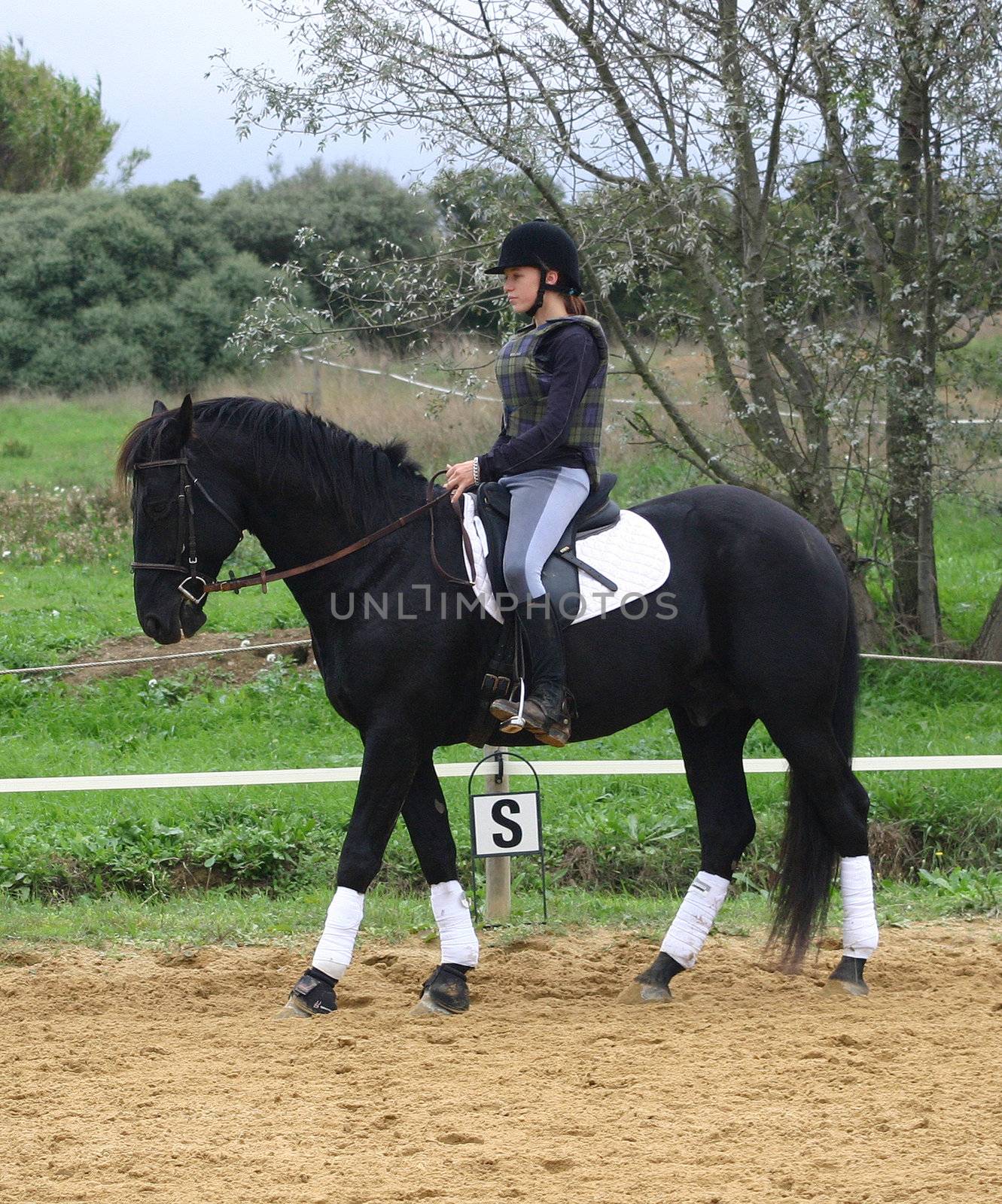 training in dressage for a black horse and her riding girl