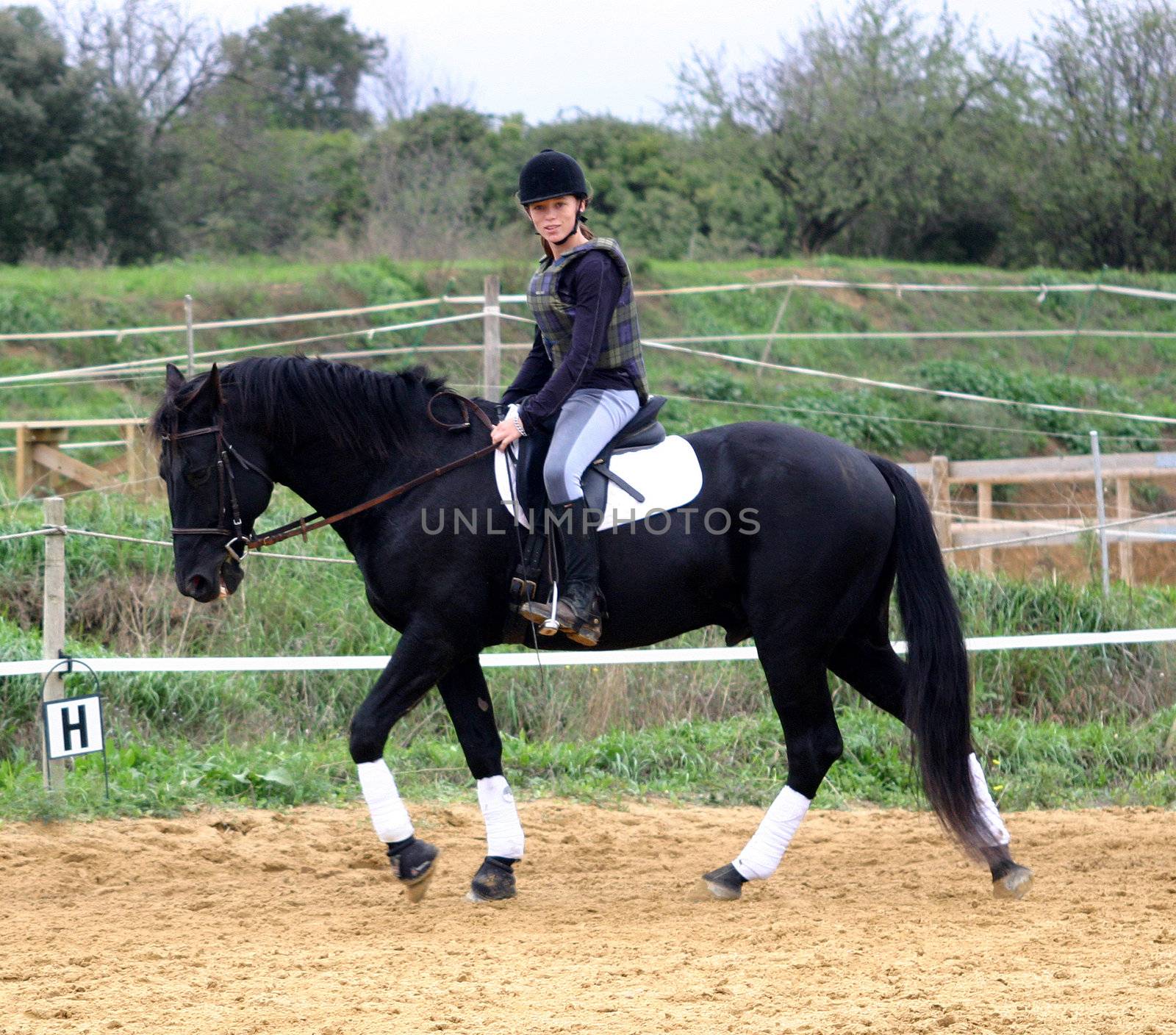 training in dressage for a black horse and her riding girl