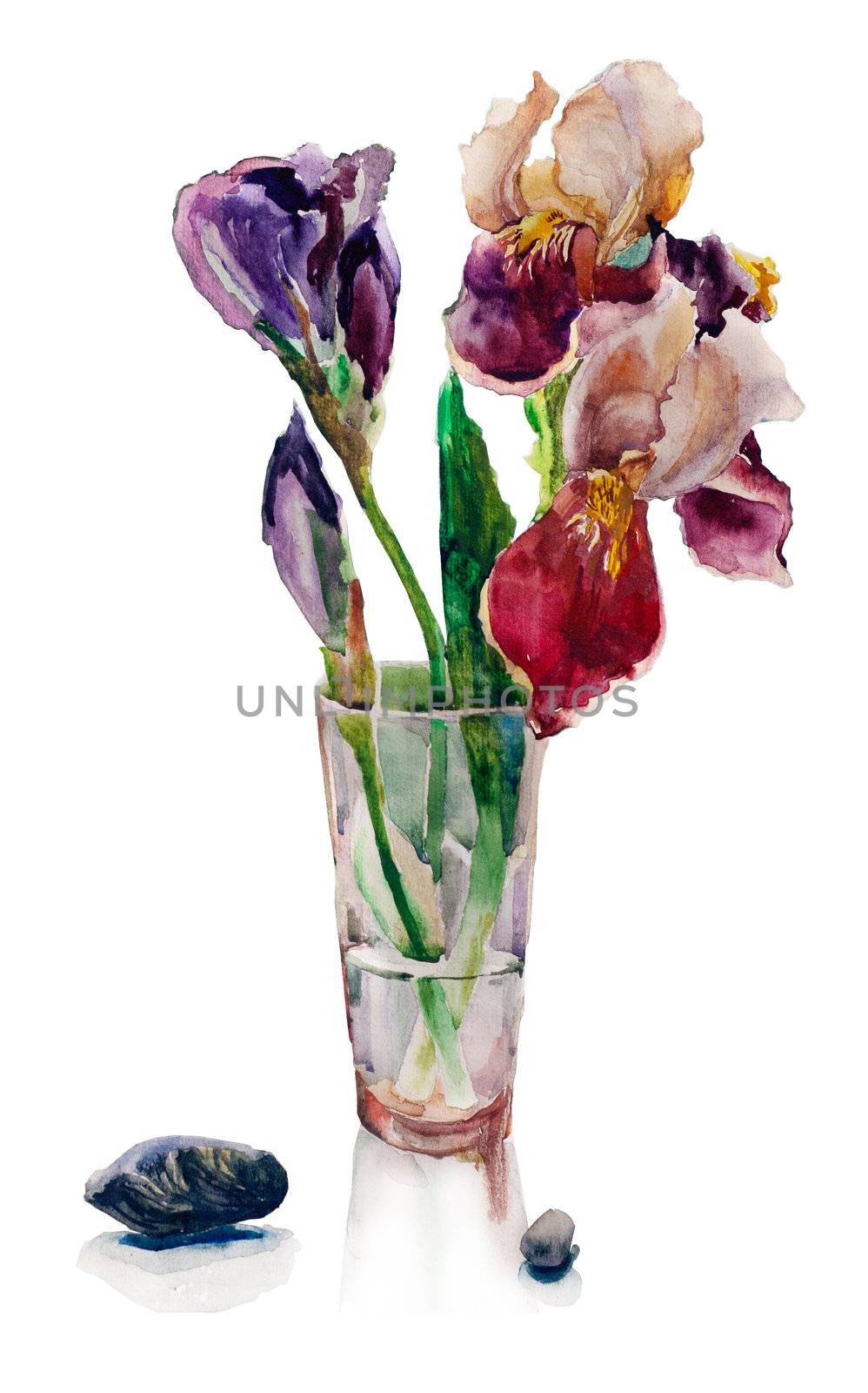 bouquet of irises watercolor by nathings