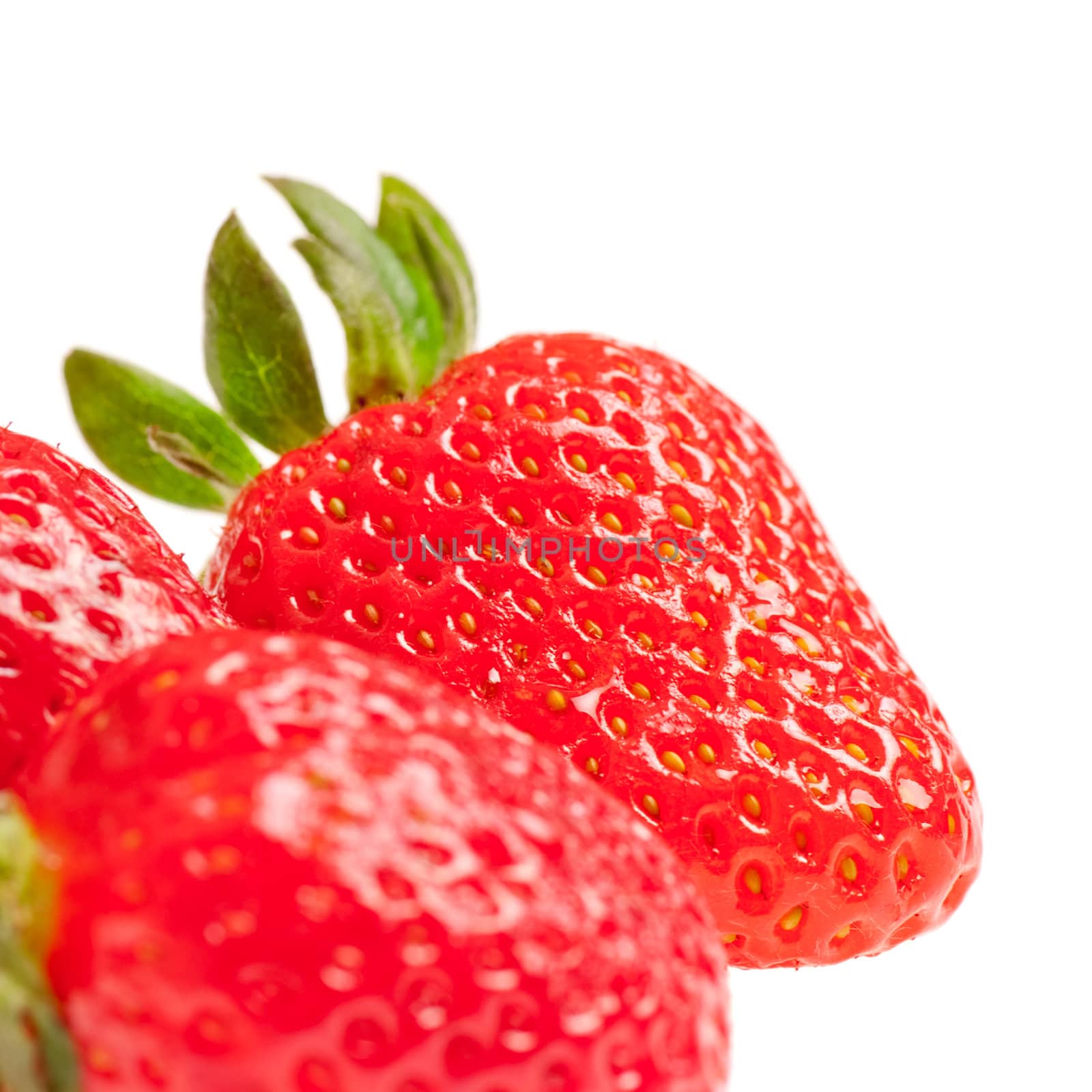 Strawberries by petr_malyshev