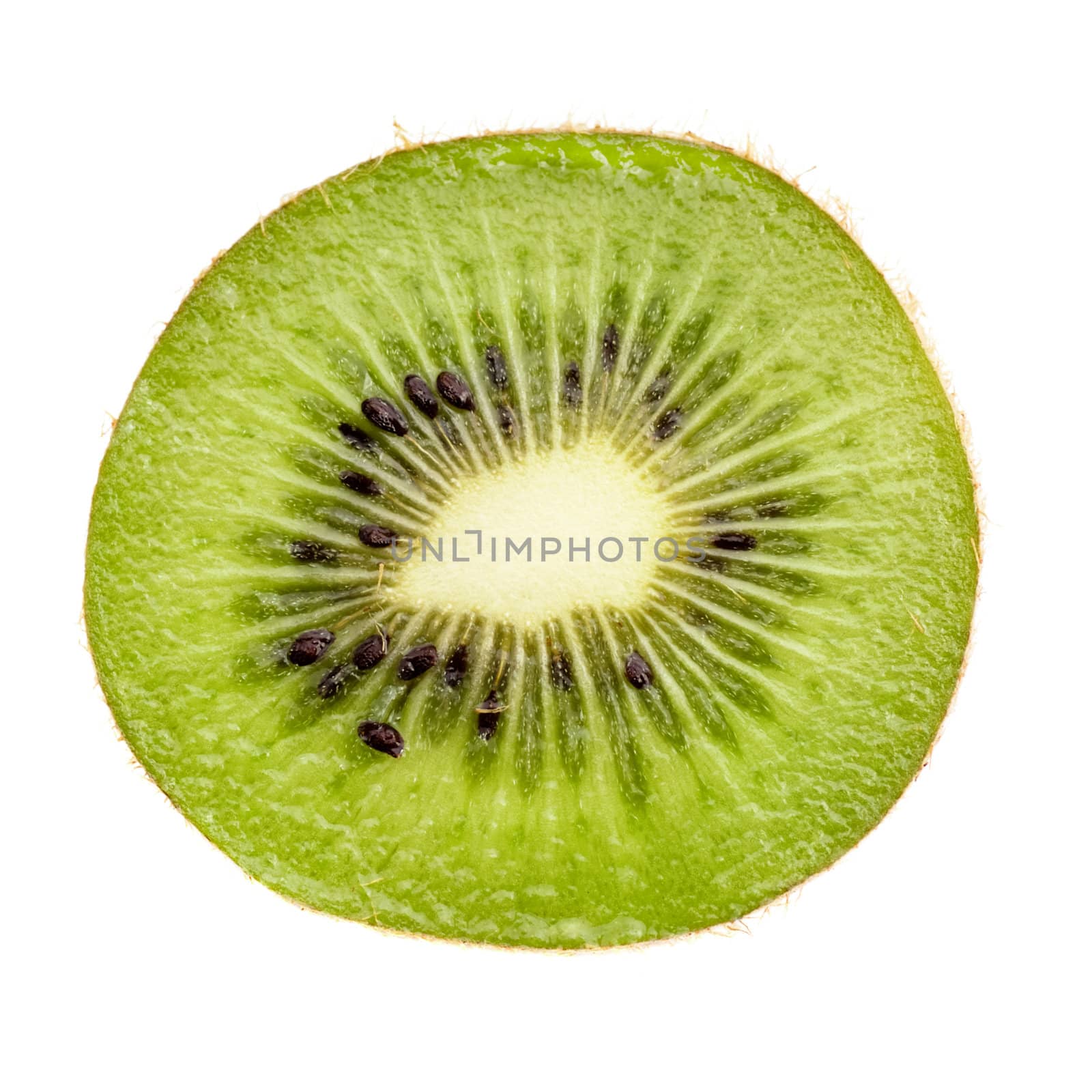 fresh green kiwi slice isolated on white, closeup