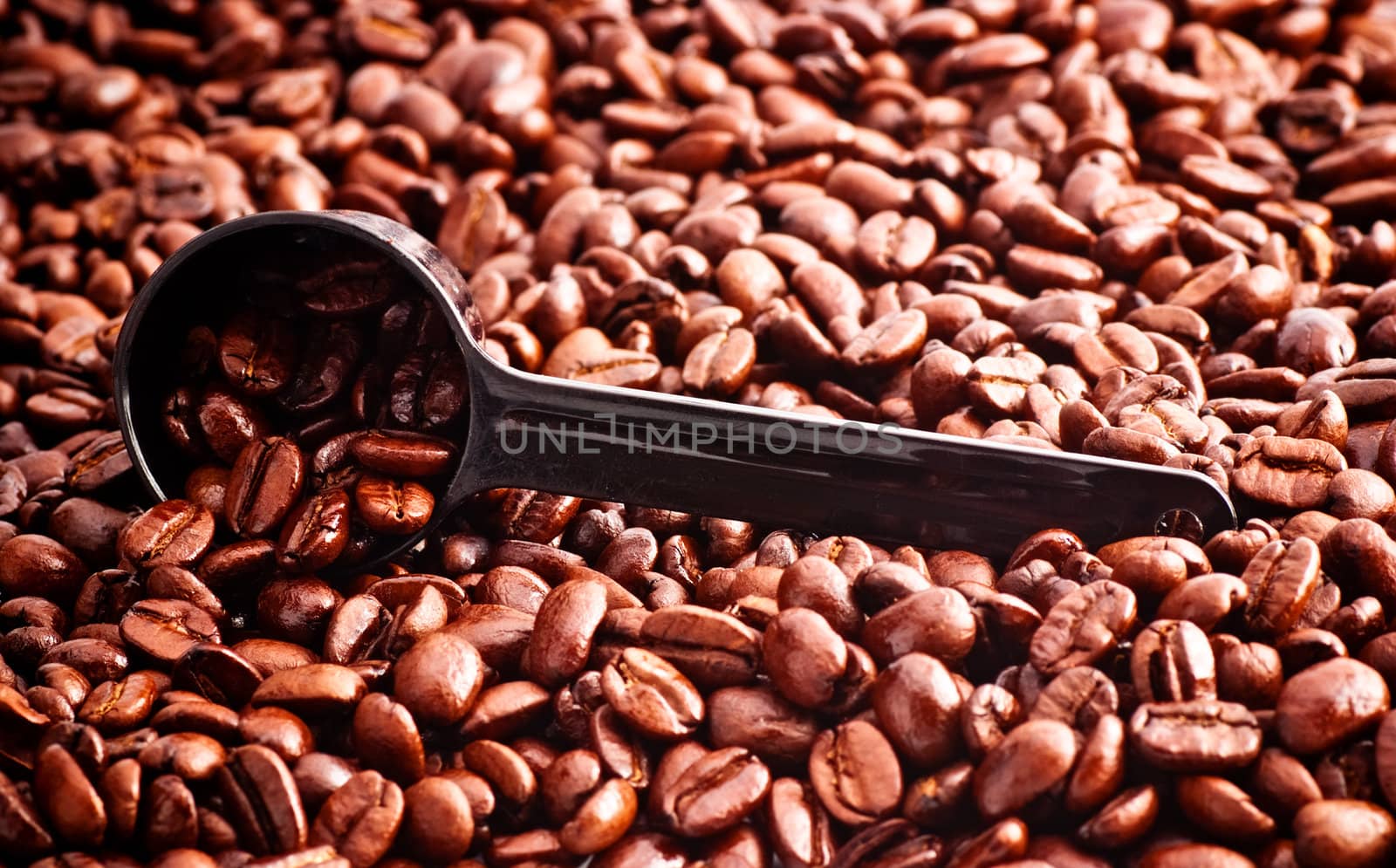 coffee beans and measuring spoon against white background