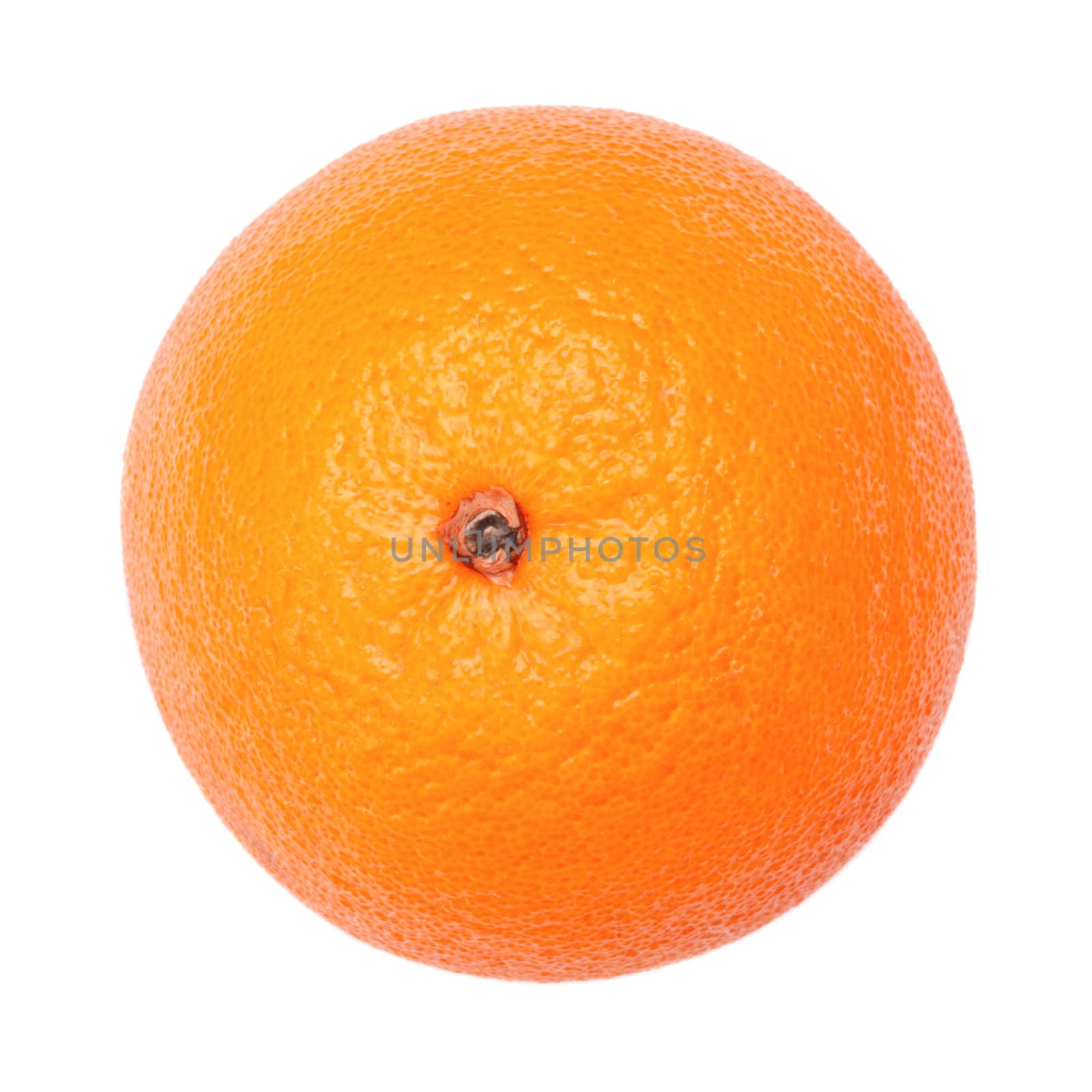 Fresh Orange by petr_malyshev
