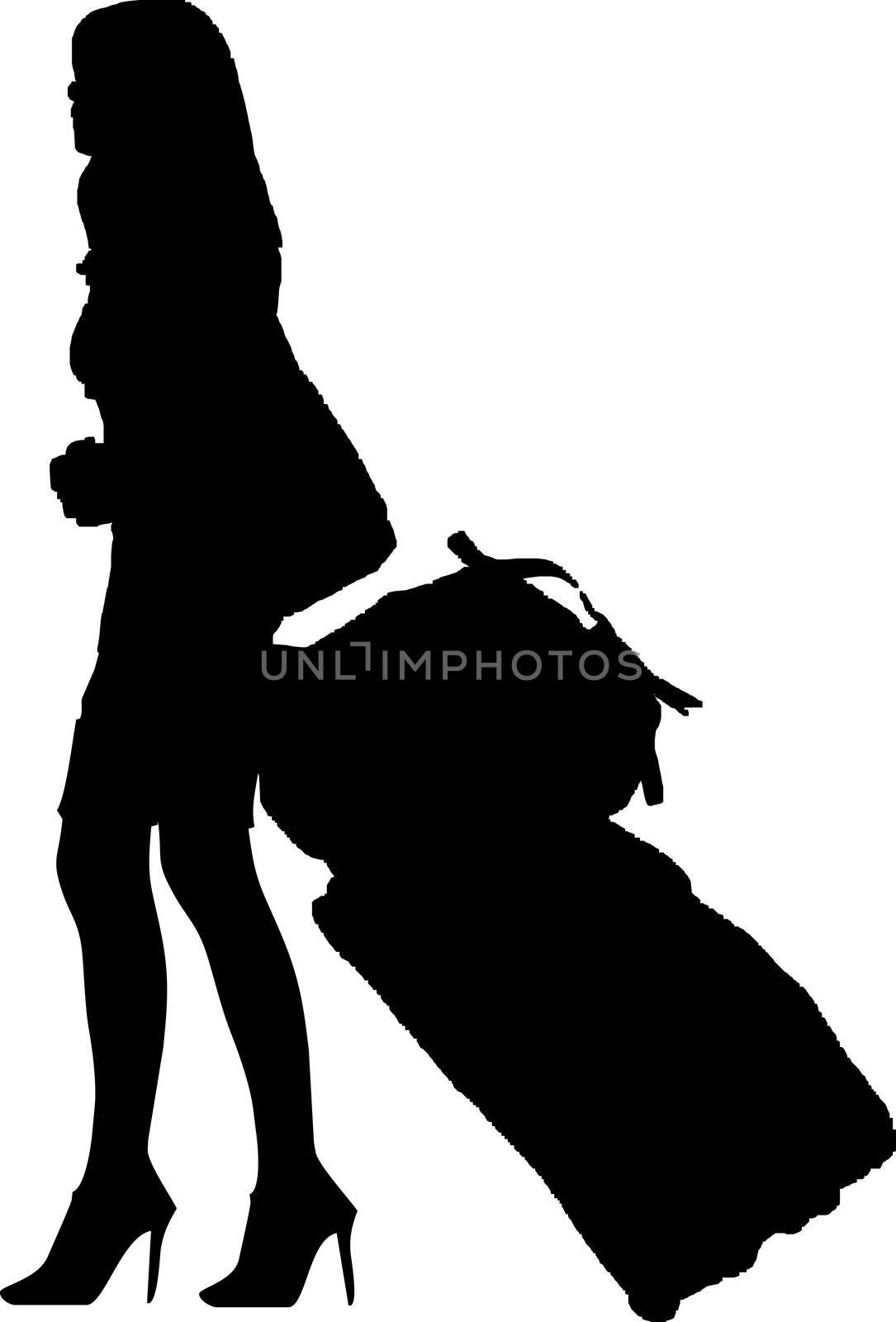 silhouette of a sexy solo girl traveler - isolated vector illustration
