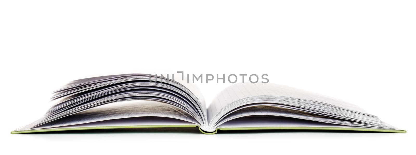 blank opened book isolated on white background