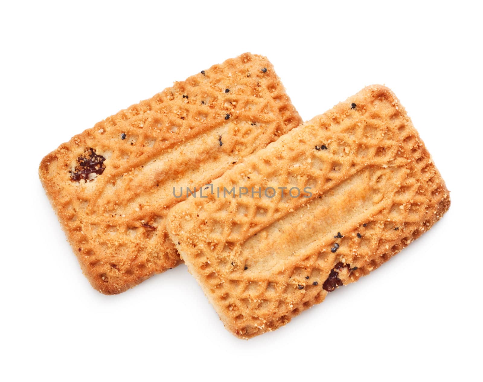 shortbreads cookies with raisins isolated on white