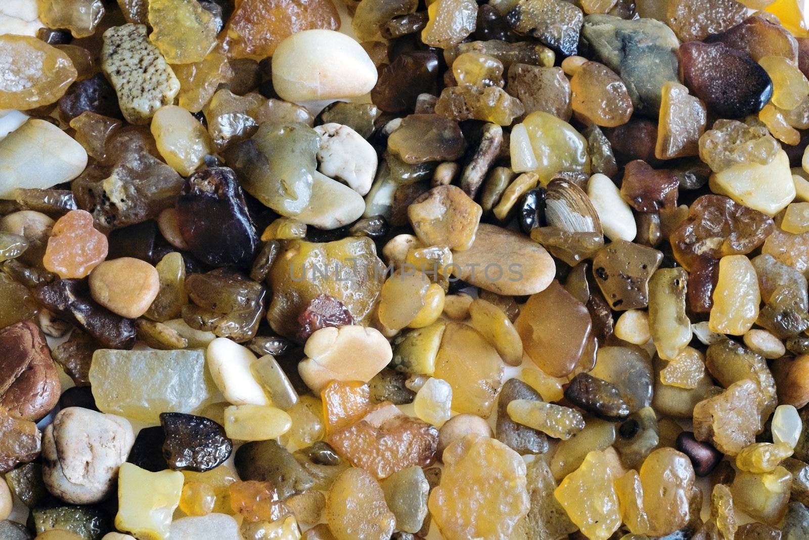 Wet sea pebble as a natural background